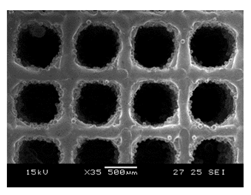 Processes 13 01827 i011