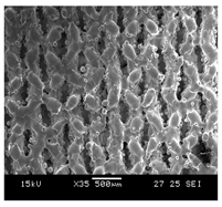 Processes 13 01827 i017