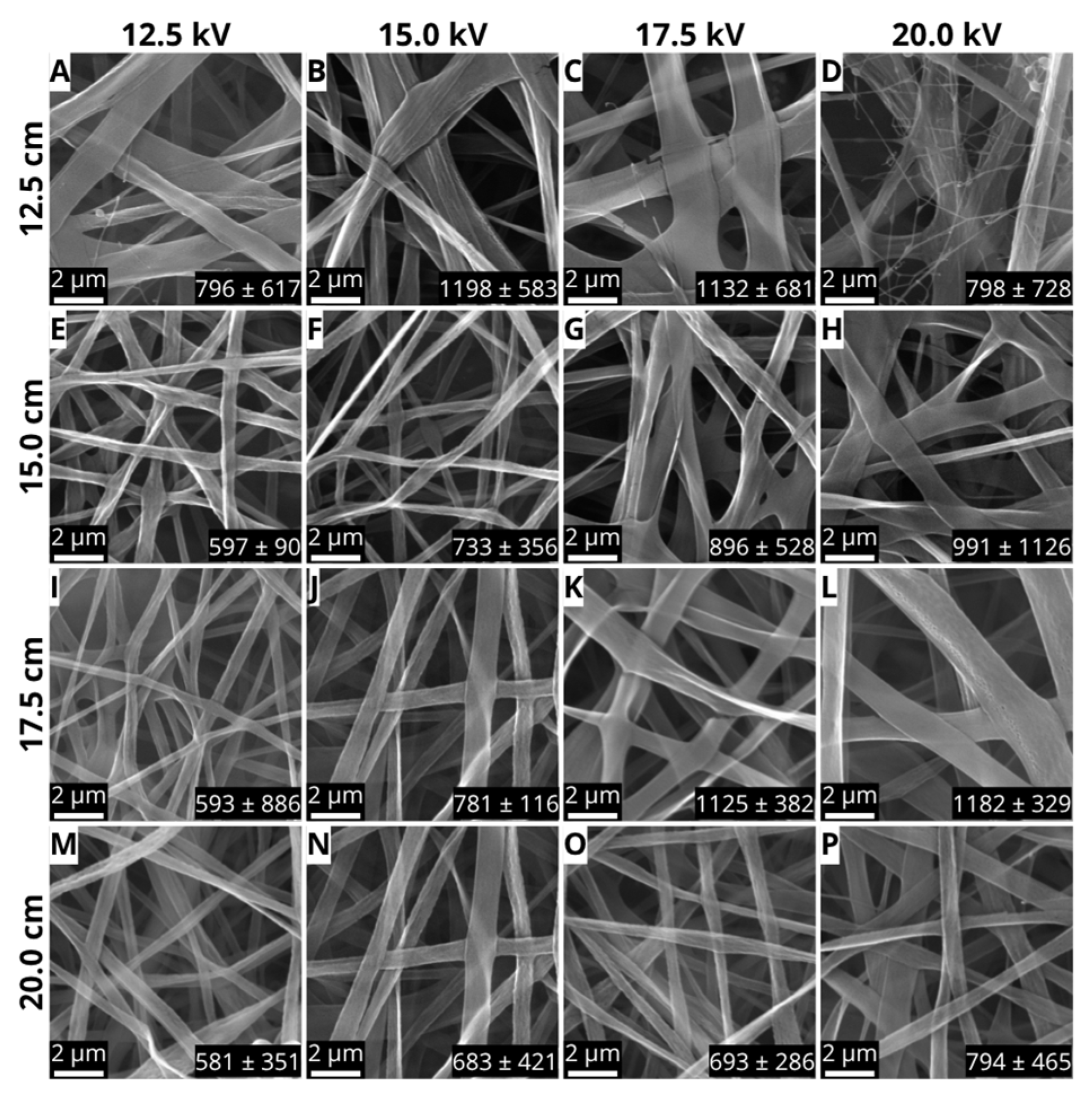 Processes 13 01837 g002