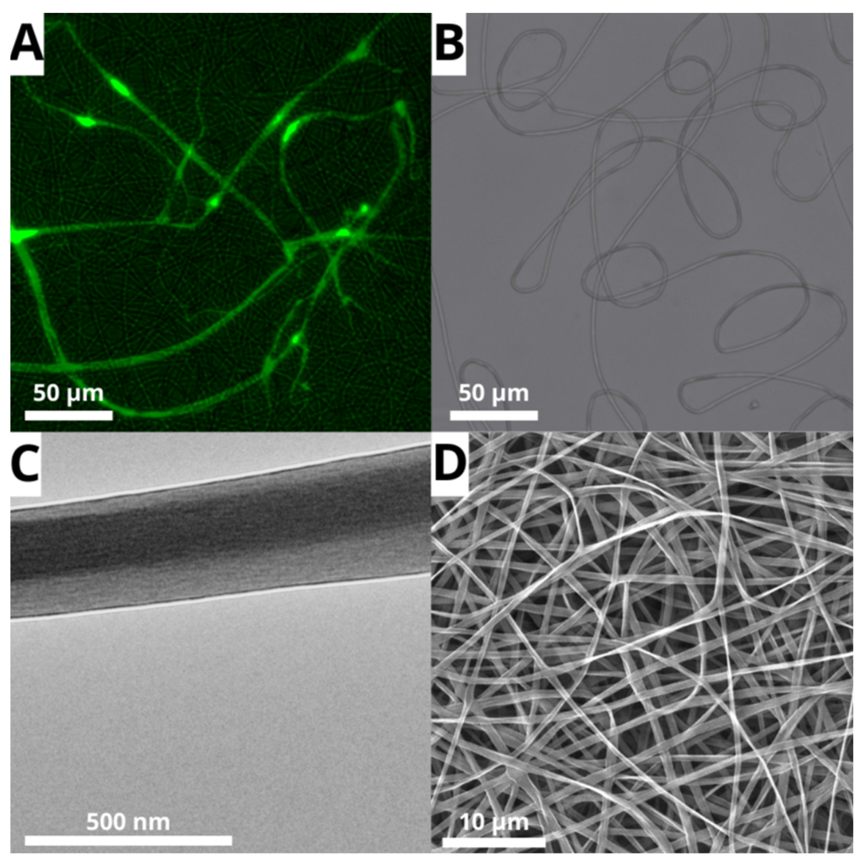 Processes 13 01837 g004