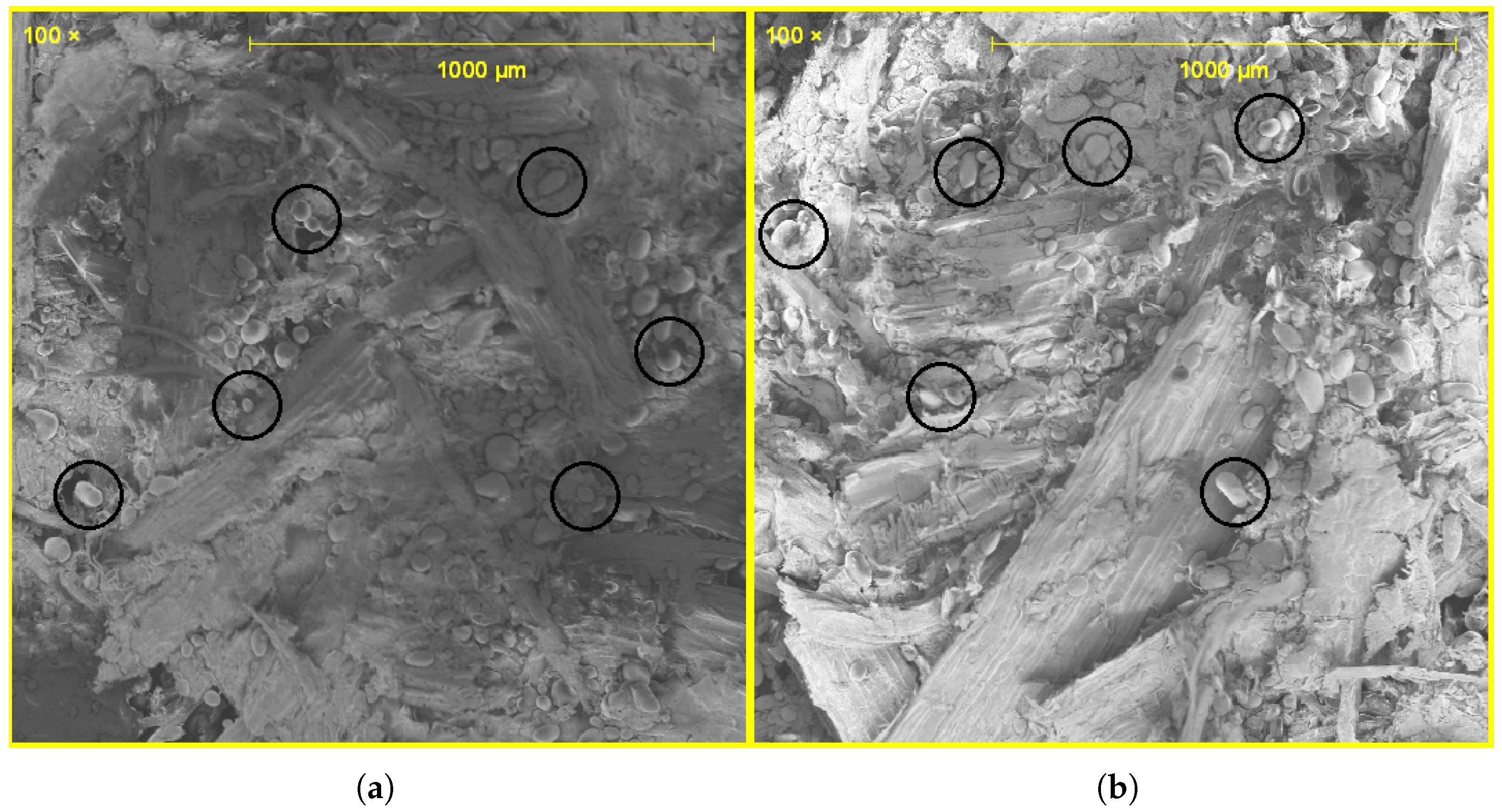 Processes 13 01851 g005 Processes 13 01851 g005
