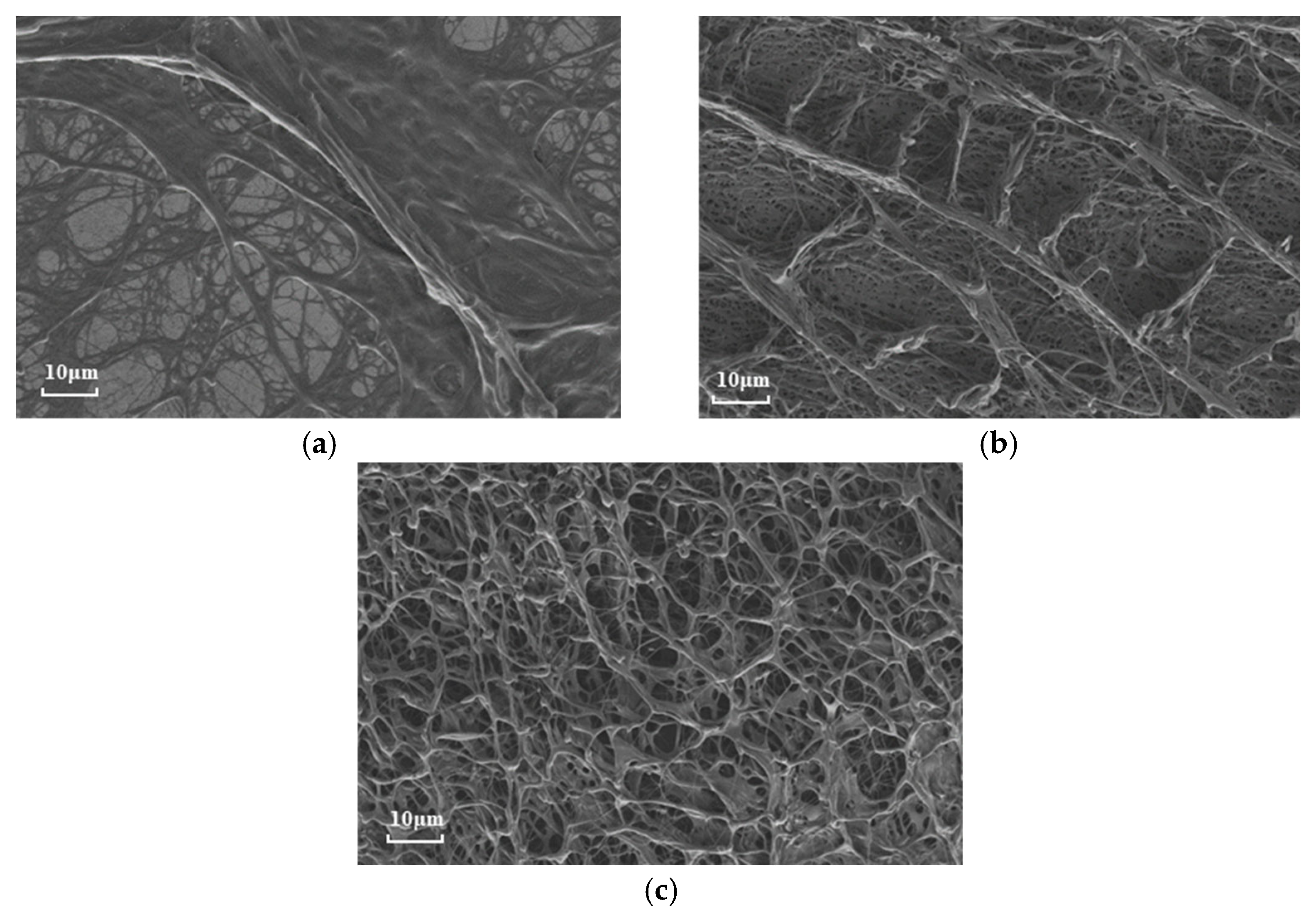 Processes 13 01859 g008