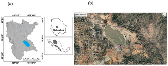 Processes 13 01861 g002