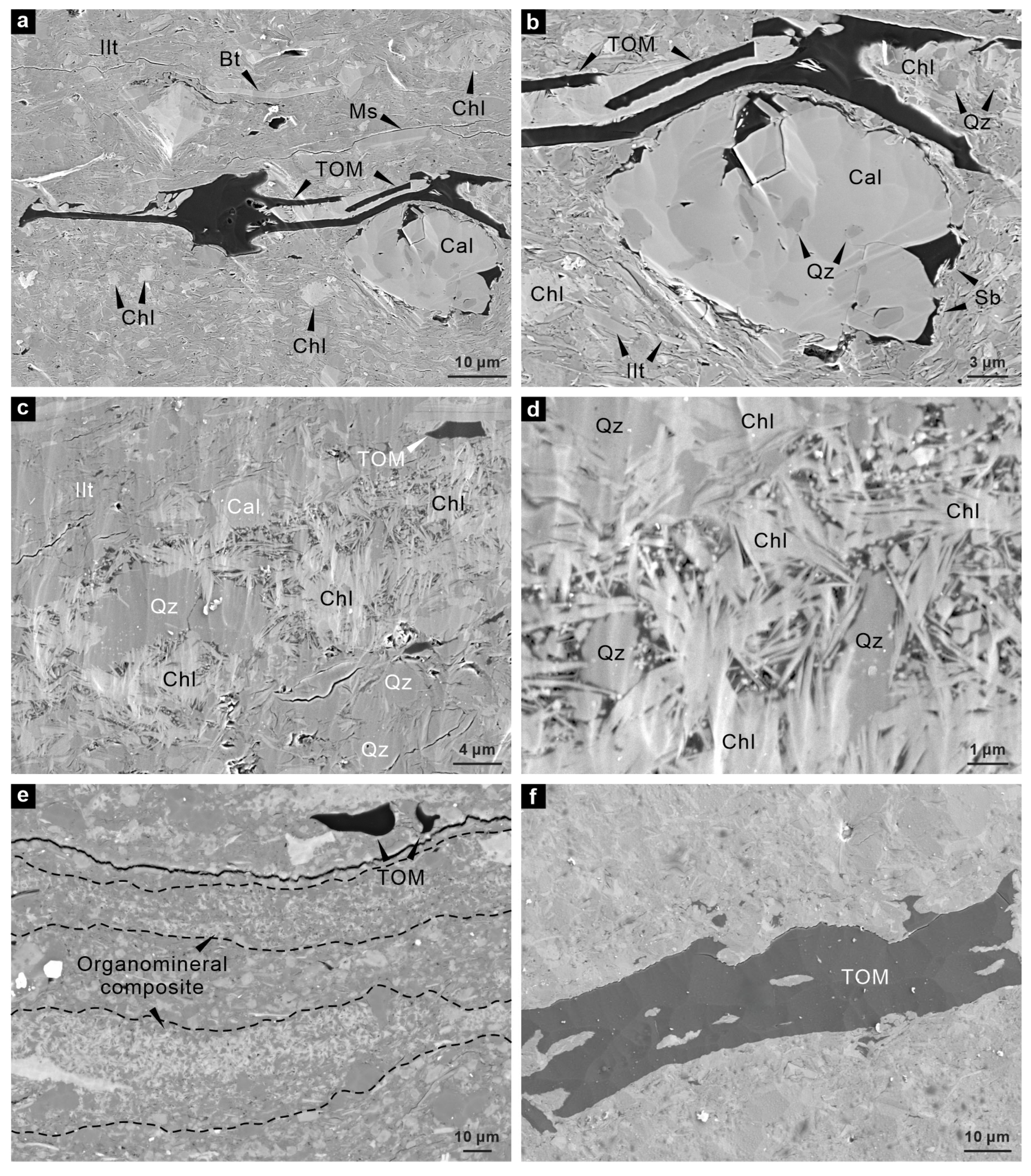 Processes 13 01868 g006