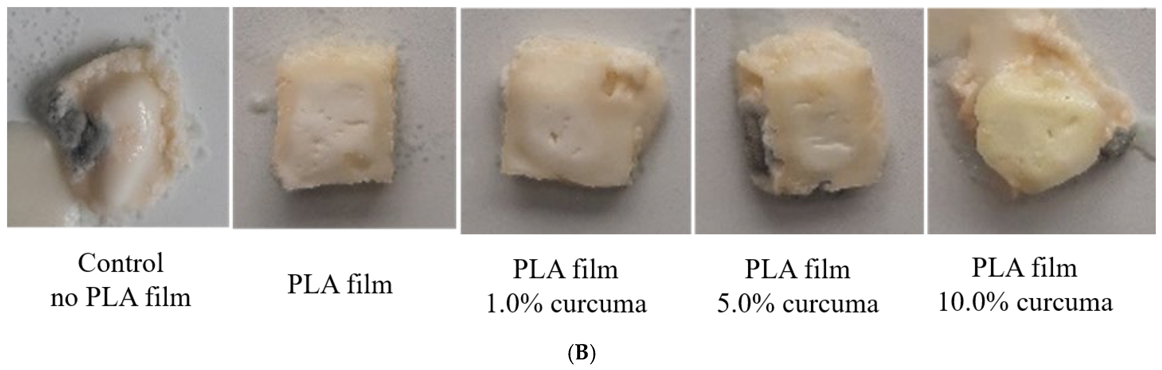 Processes 13 01881 g010b