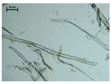 Processes 13 01930 i002