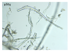 Processes 13 01930 i004