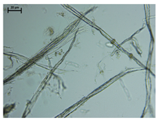 Processes 13 01930 i005