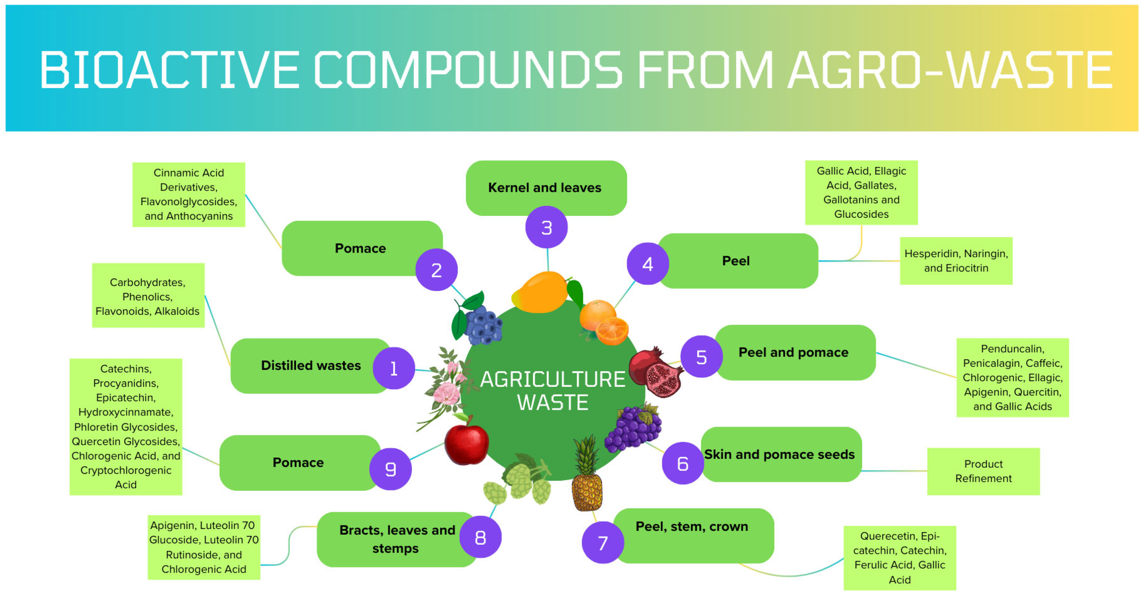 Processes 13 01945 g001