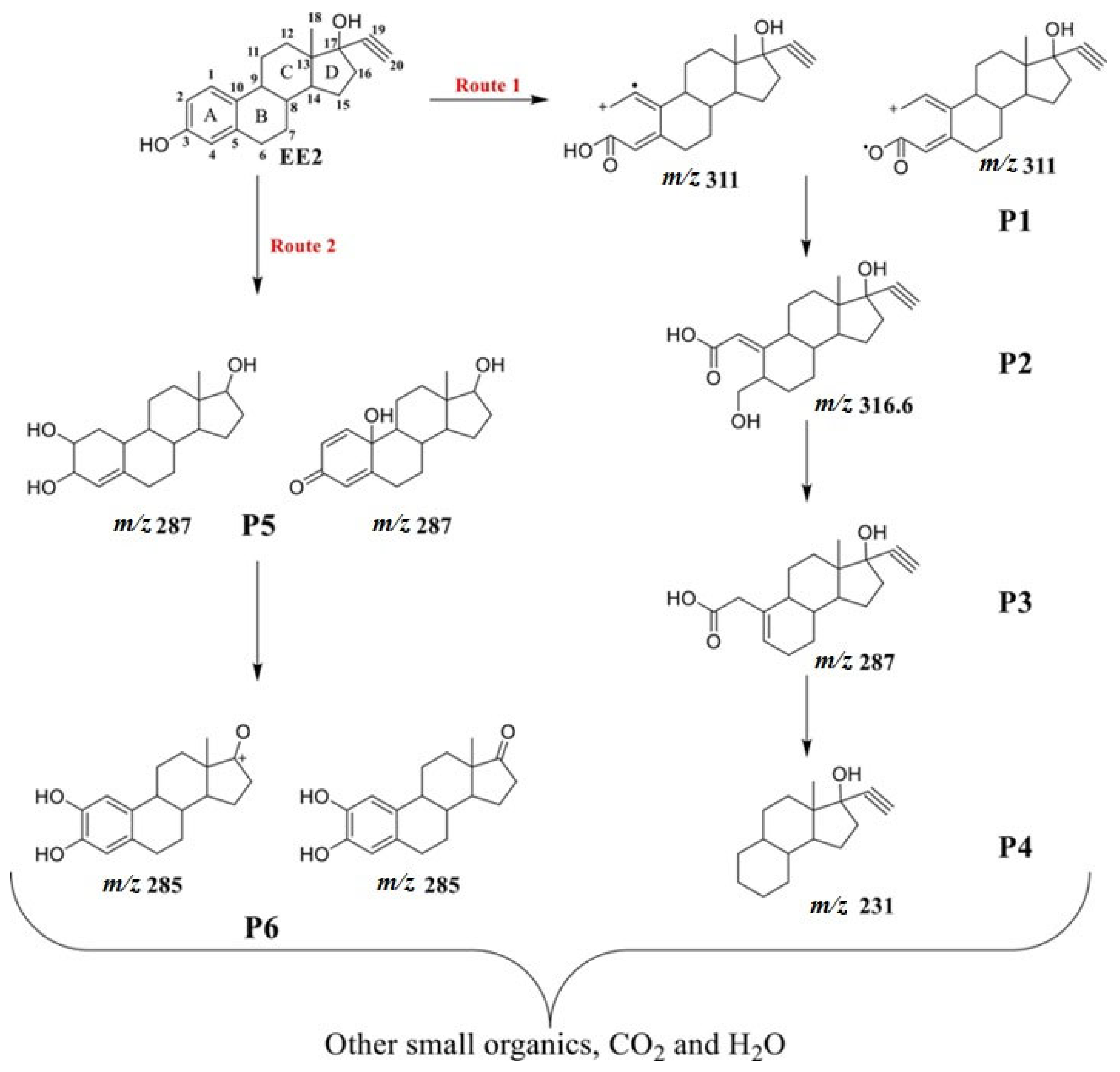 Processes 13 01949 g011