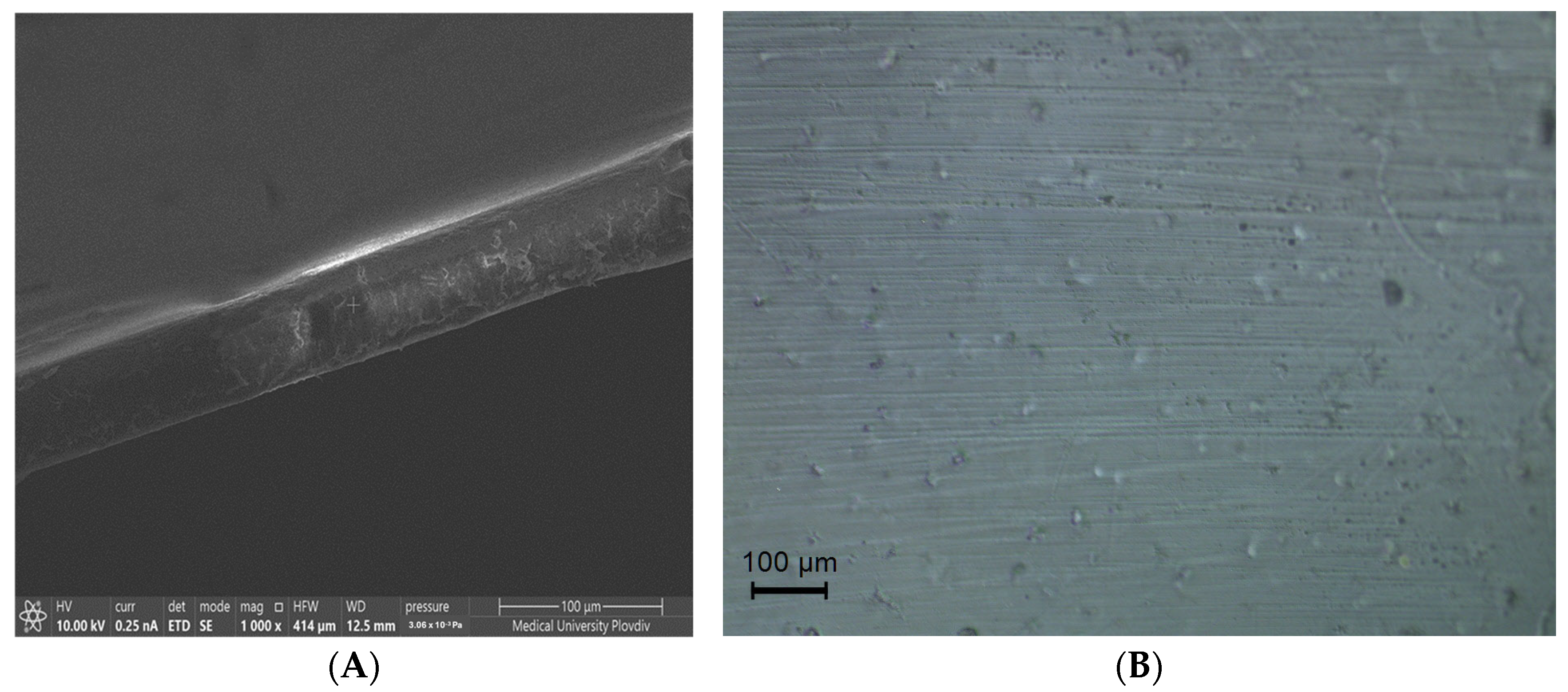 Processes 13 01961 g002