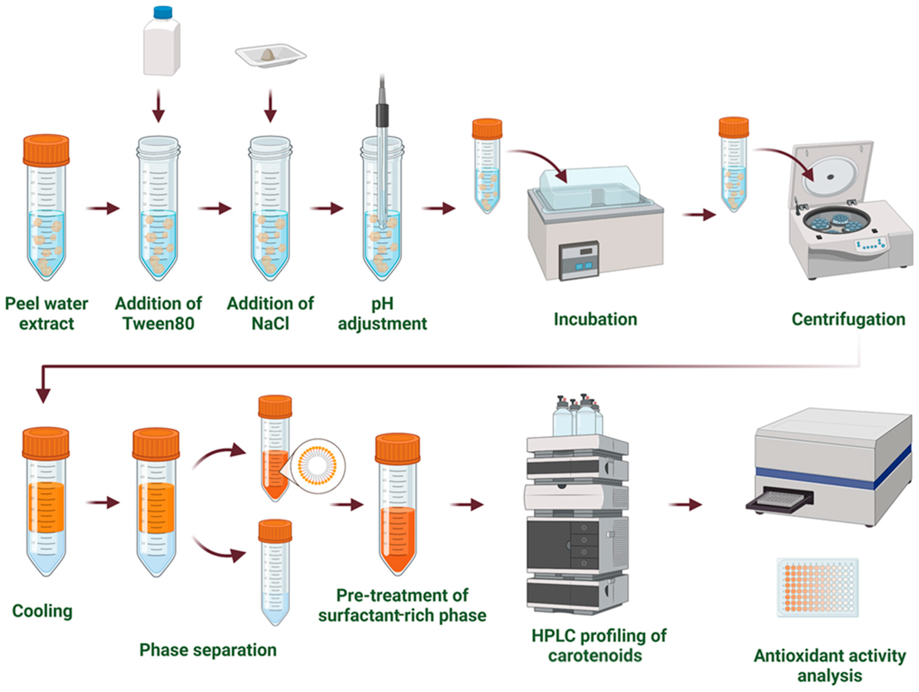 Processes 13 01962 g001