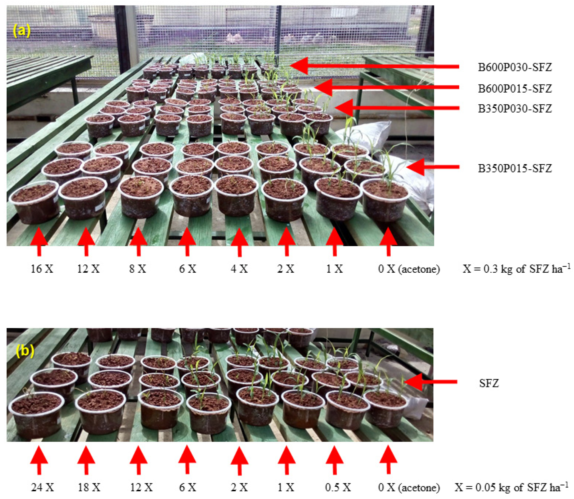 Processes 13 01965 g005