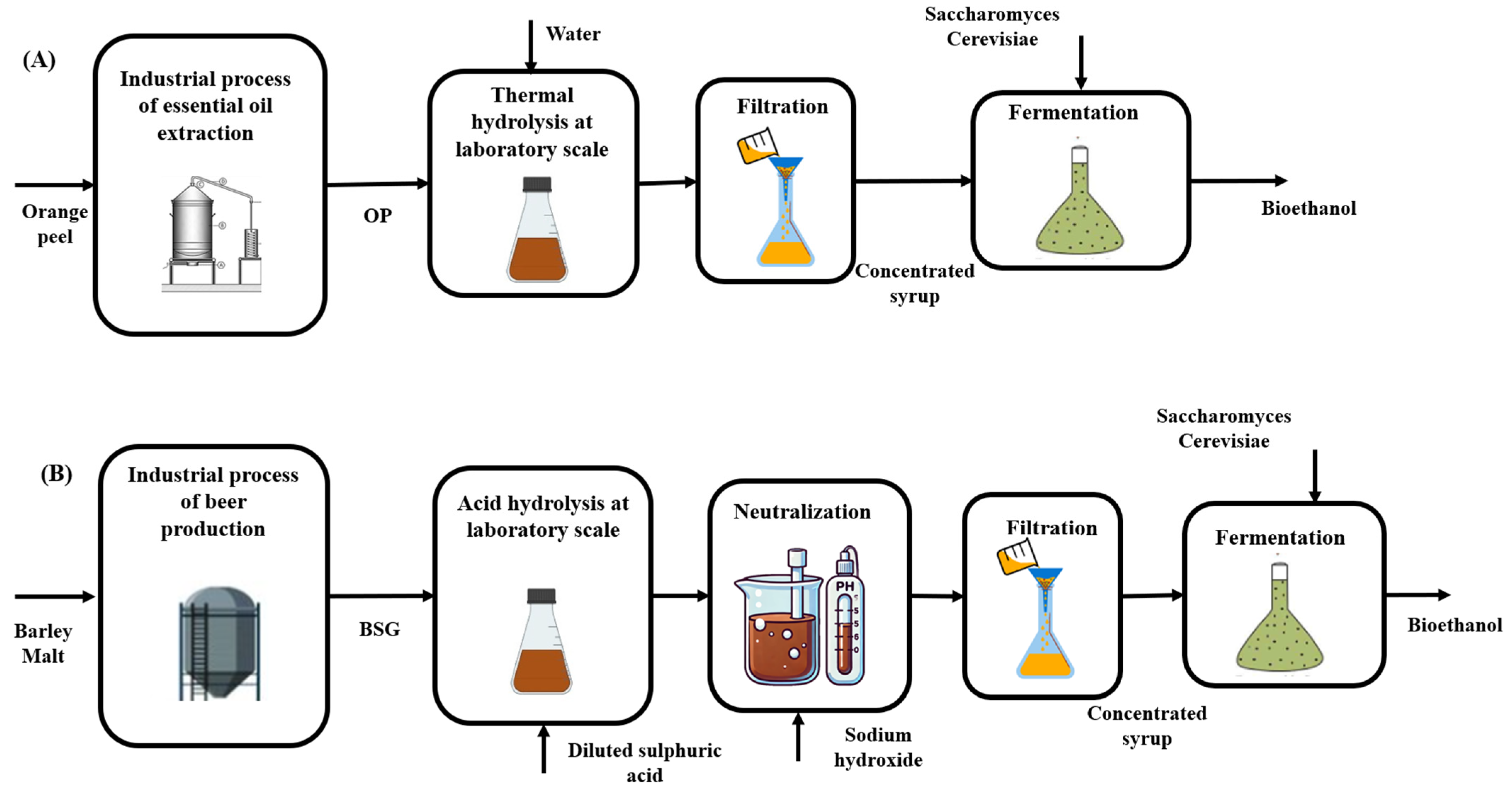 Processes 13 01974 g001