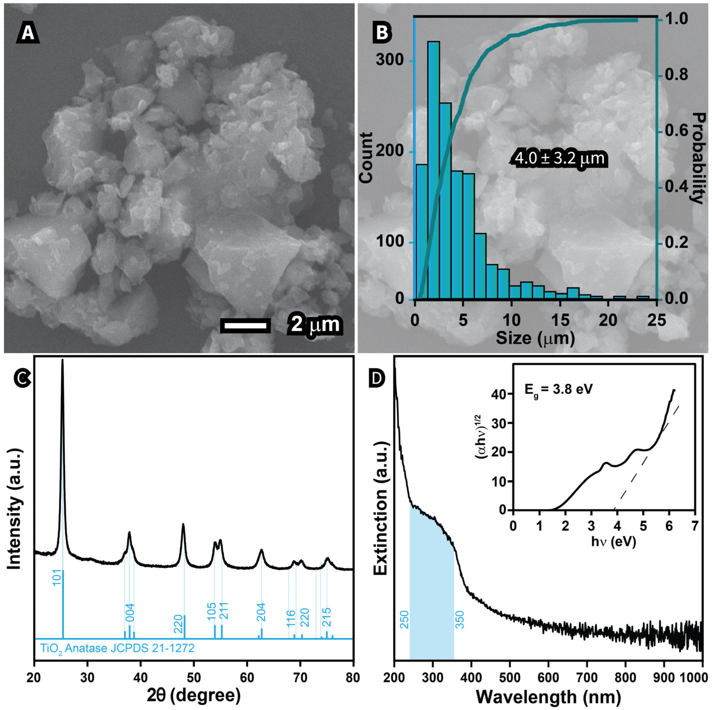 Processes 13 01988 g002