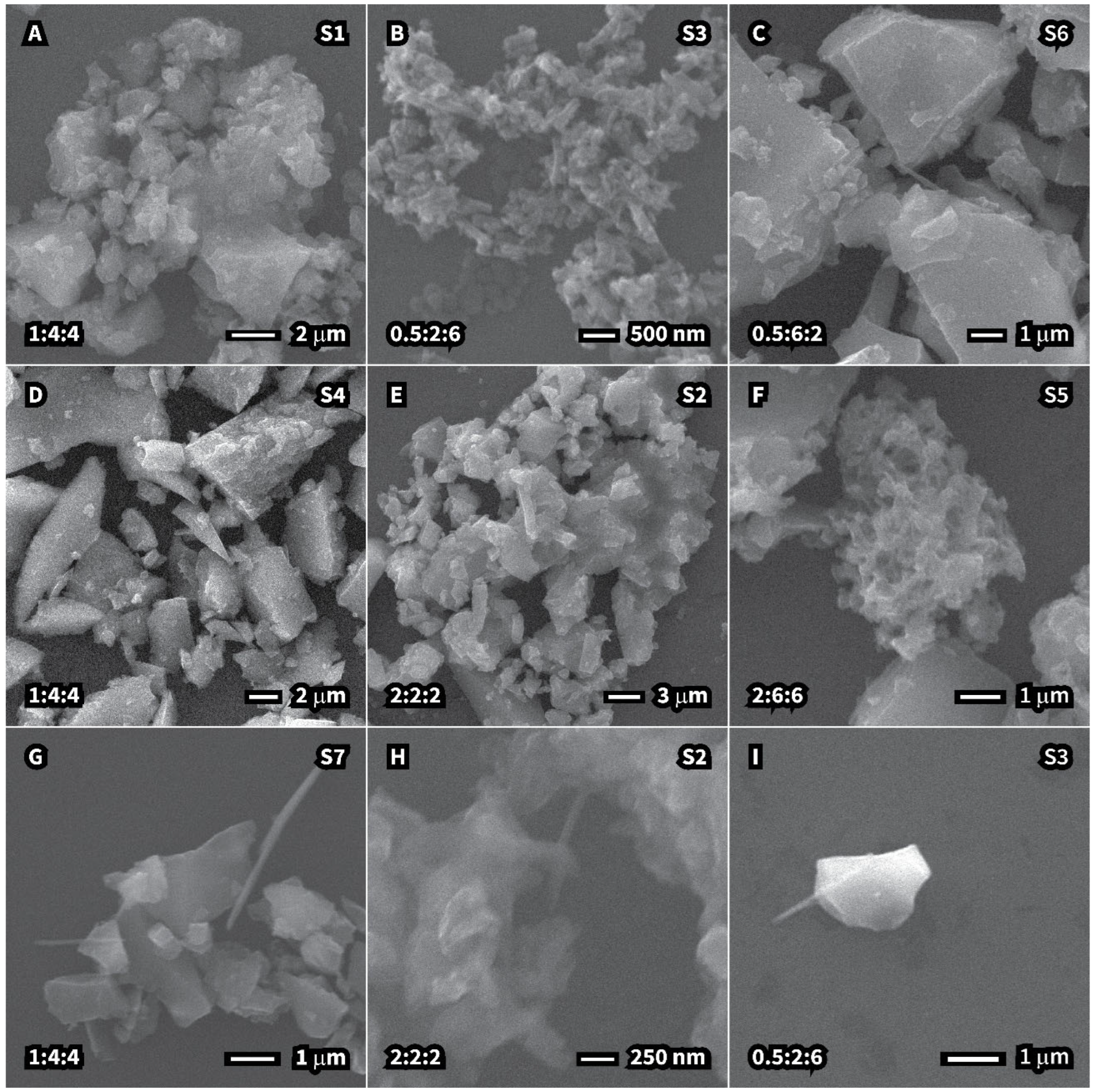 Processes 13 01988 g003