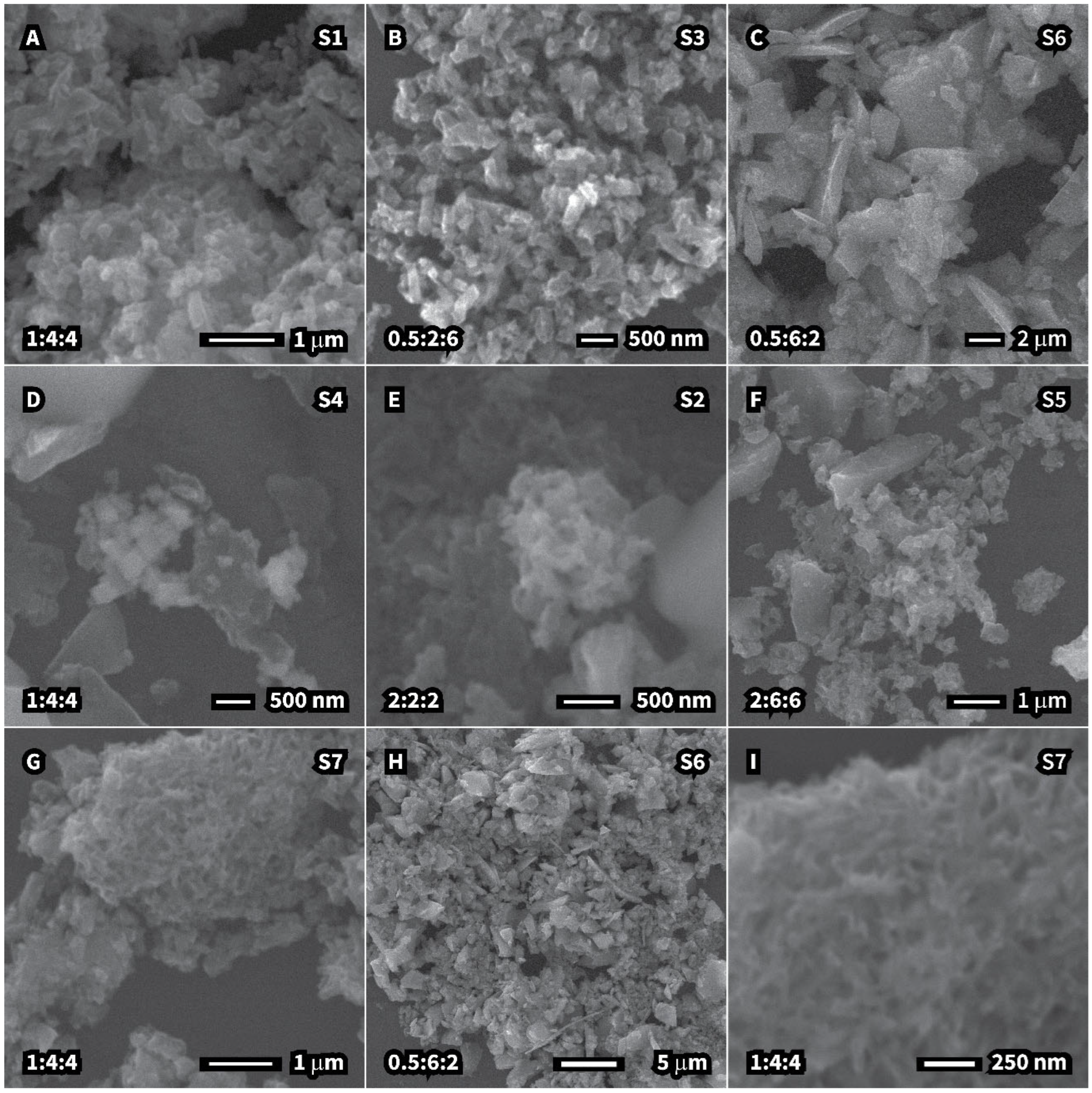 Processes 13 01988 g005