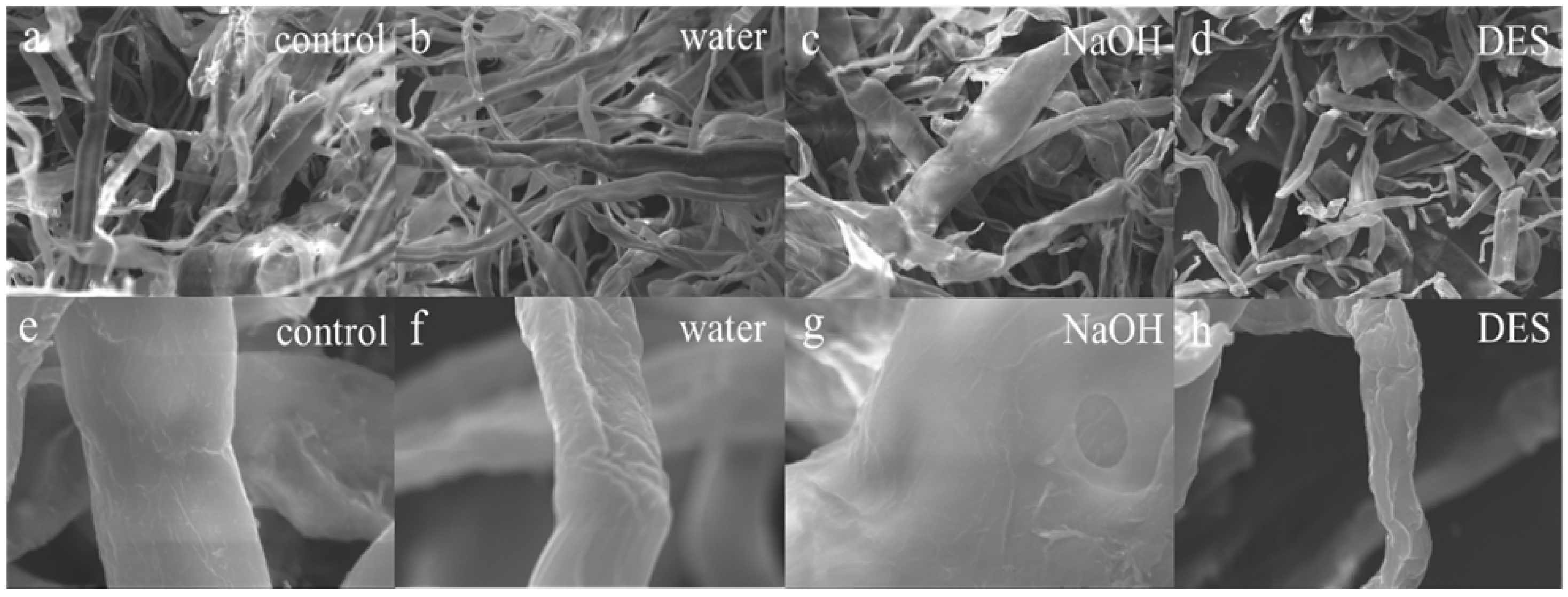 Processes 13 01994 g003