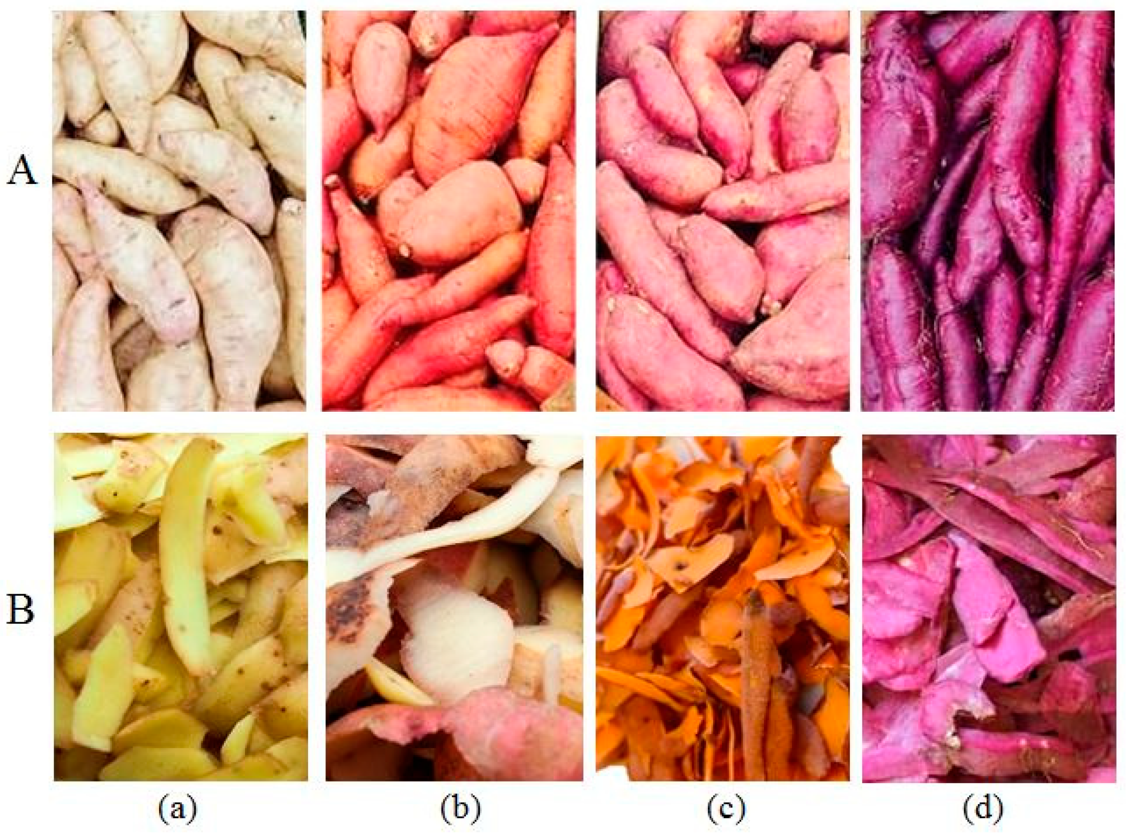 Processes 13 02004 g001