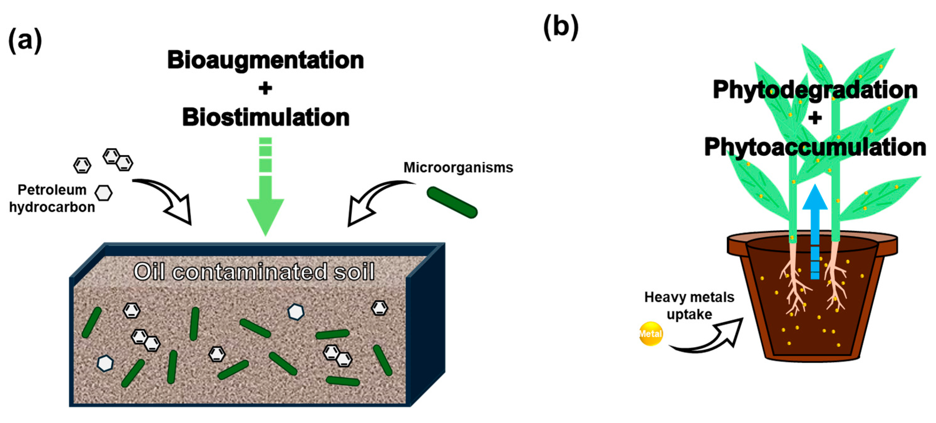 Processes 13 02010 g005