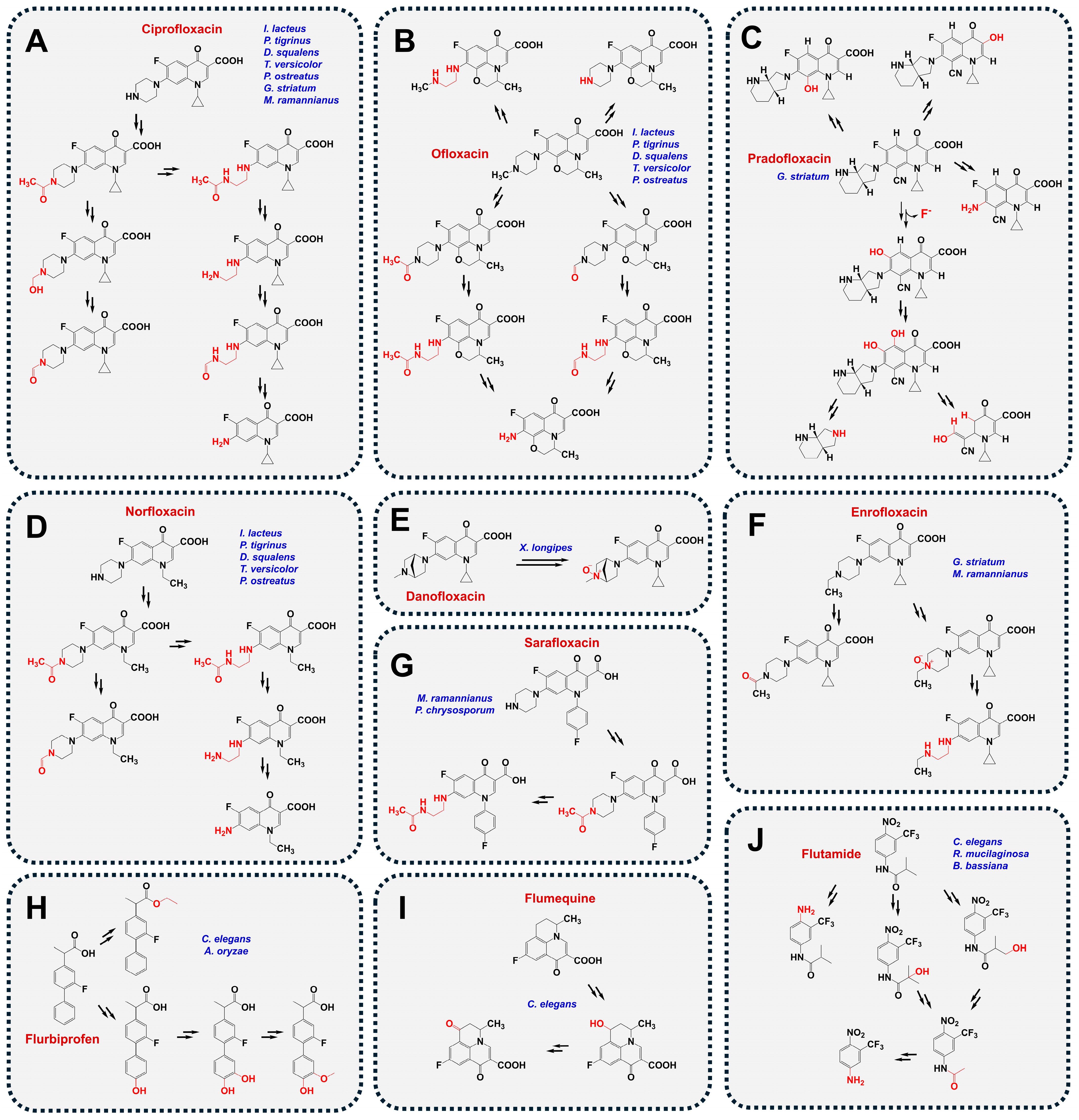 Processes 13 02017 g006 Processes 13 02017 g006