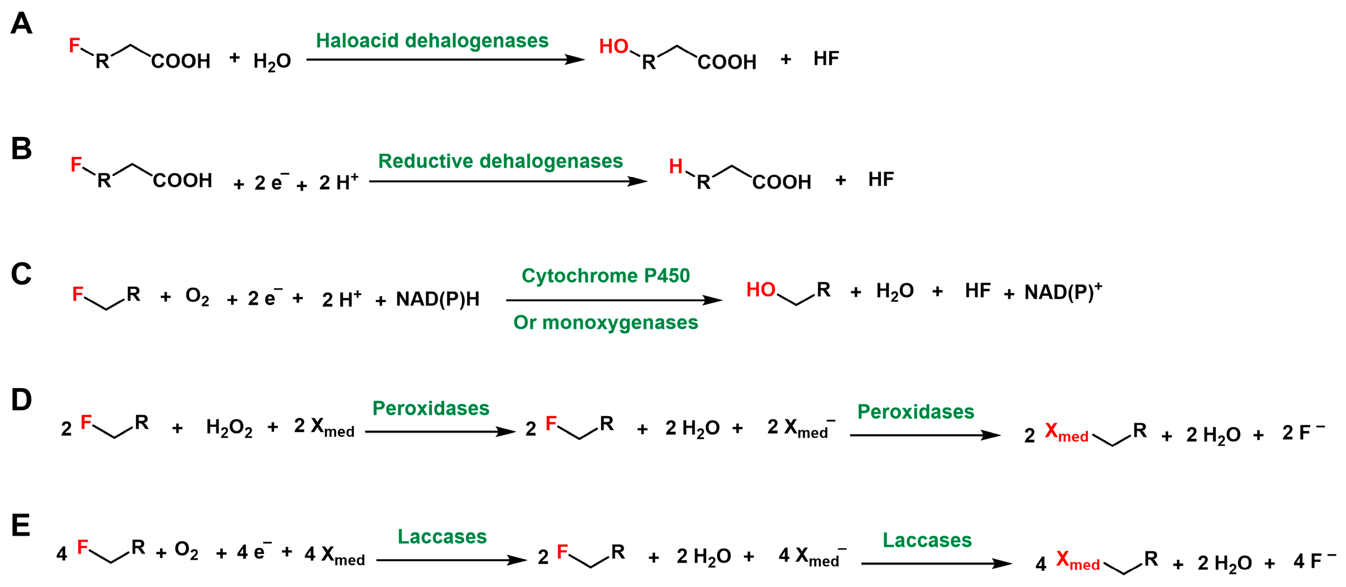 Processes 13 02017 g007 Processes 13 02017 g007