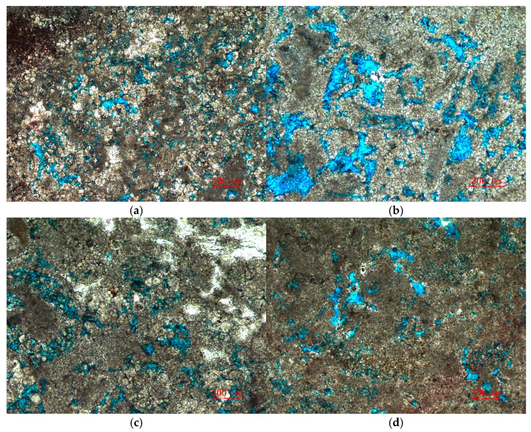 Processes 13 02045 g003