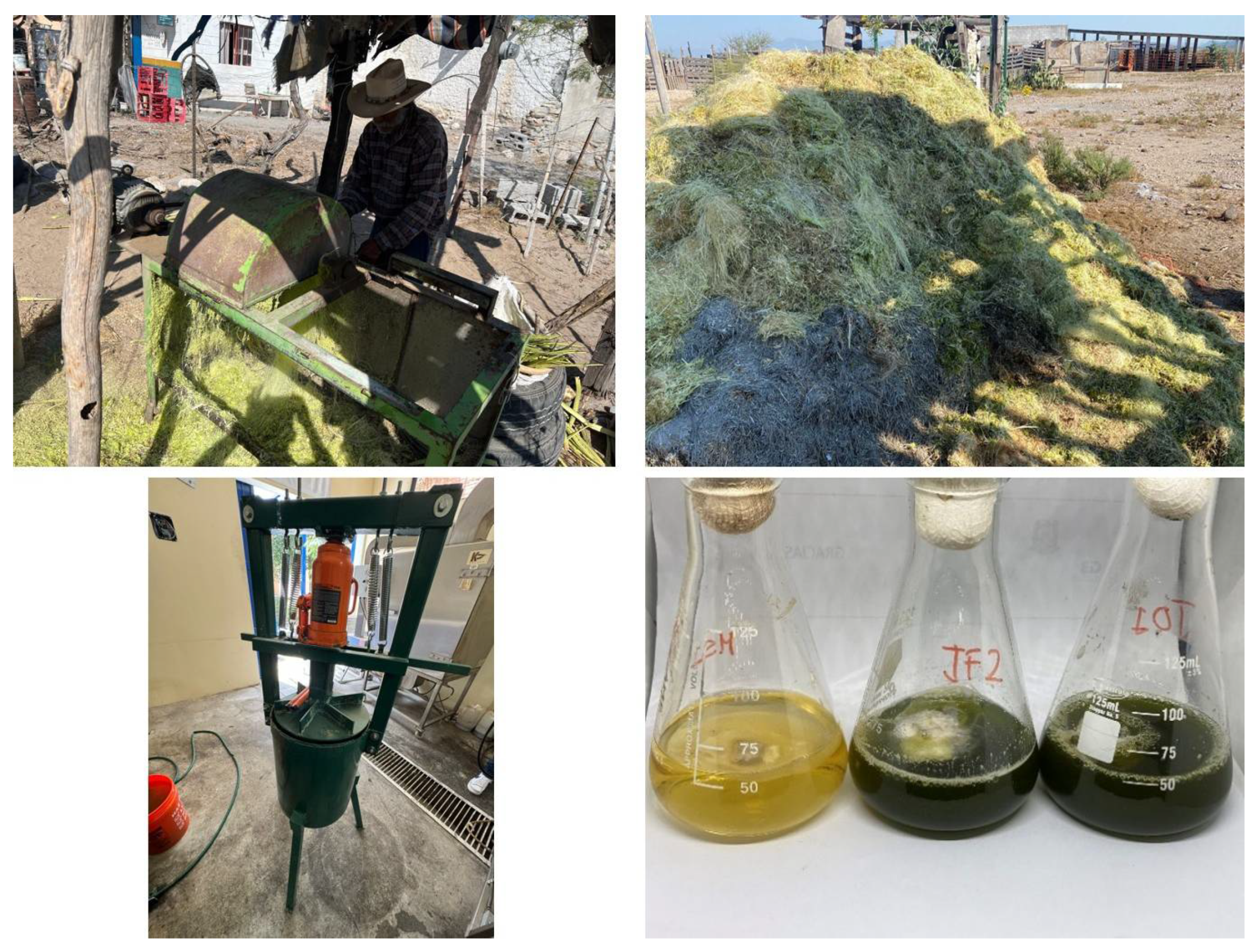 Processes 13 02064 g001