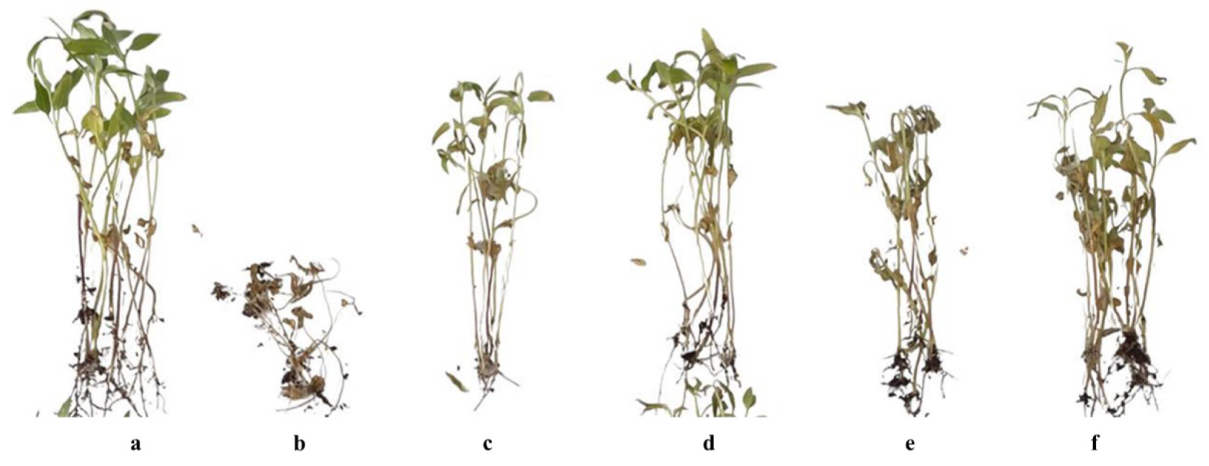 Processes 13 02064 g009