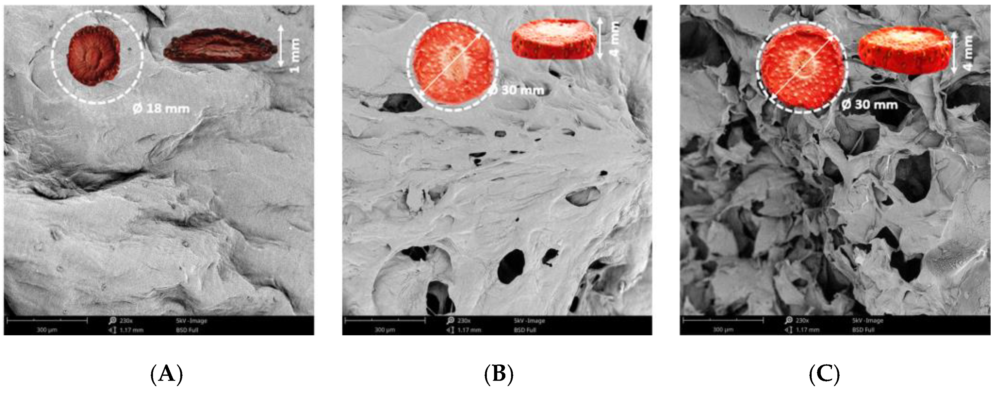 Processes 13 02065 g001