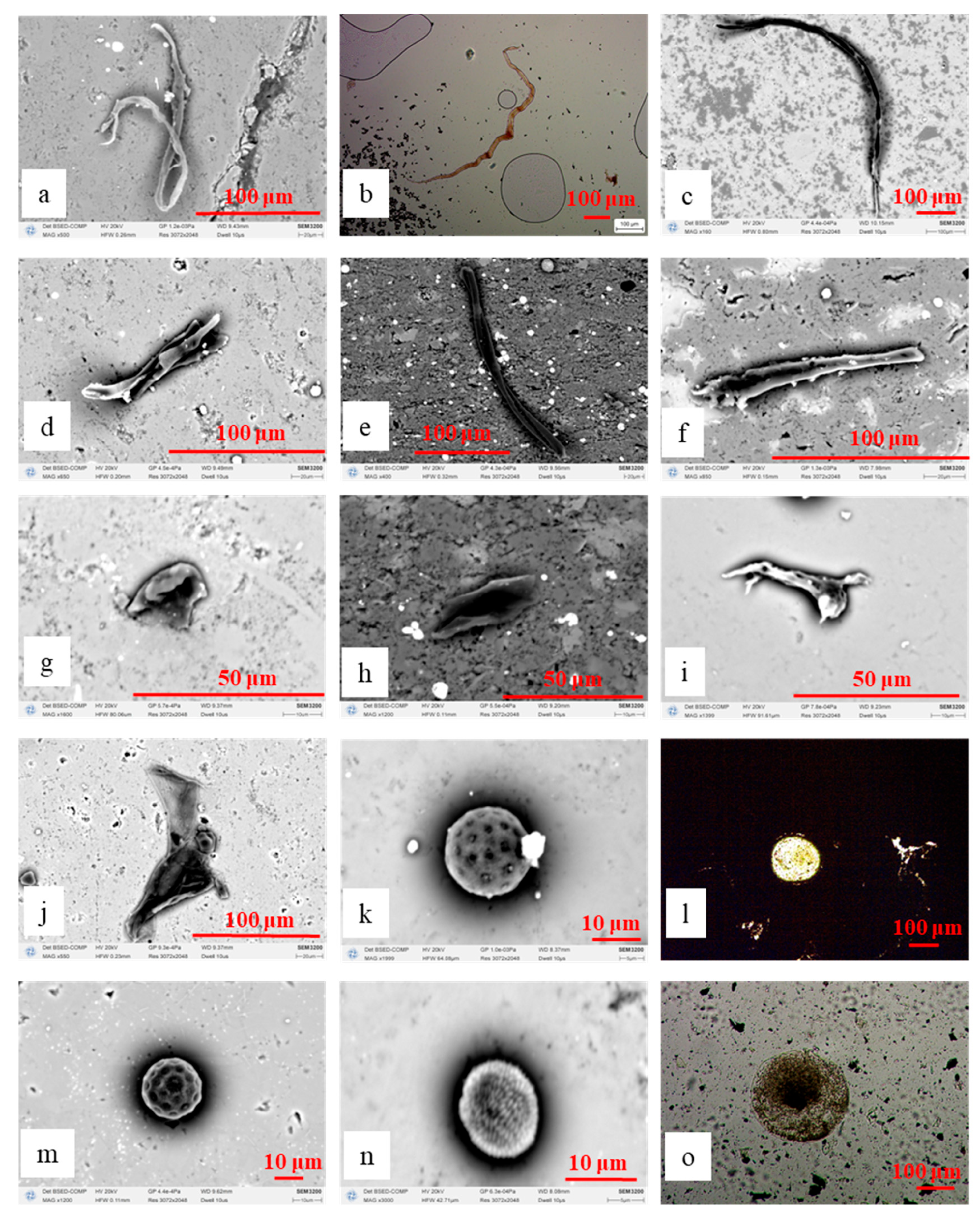 Processes 13 02080 g003
