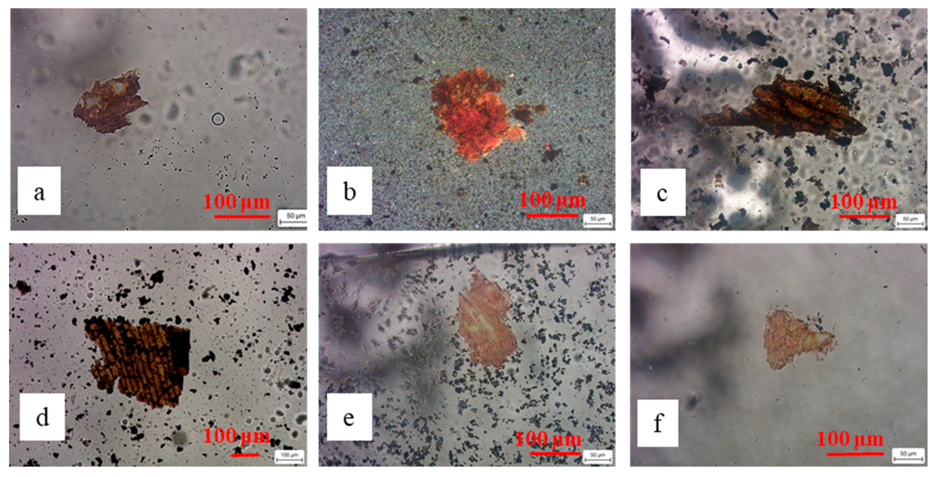 Processes 13 02080 g005