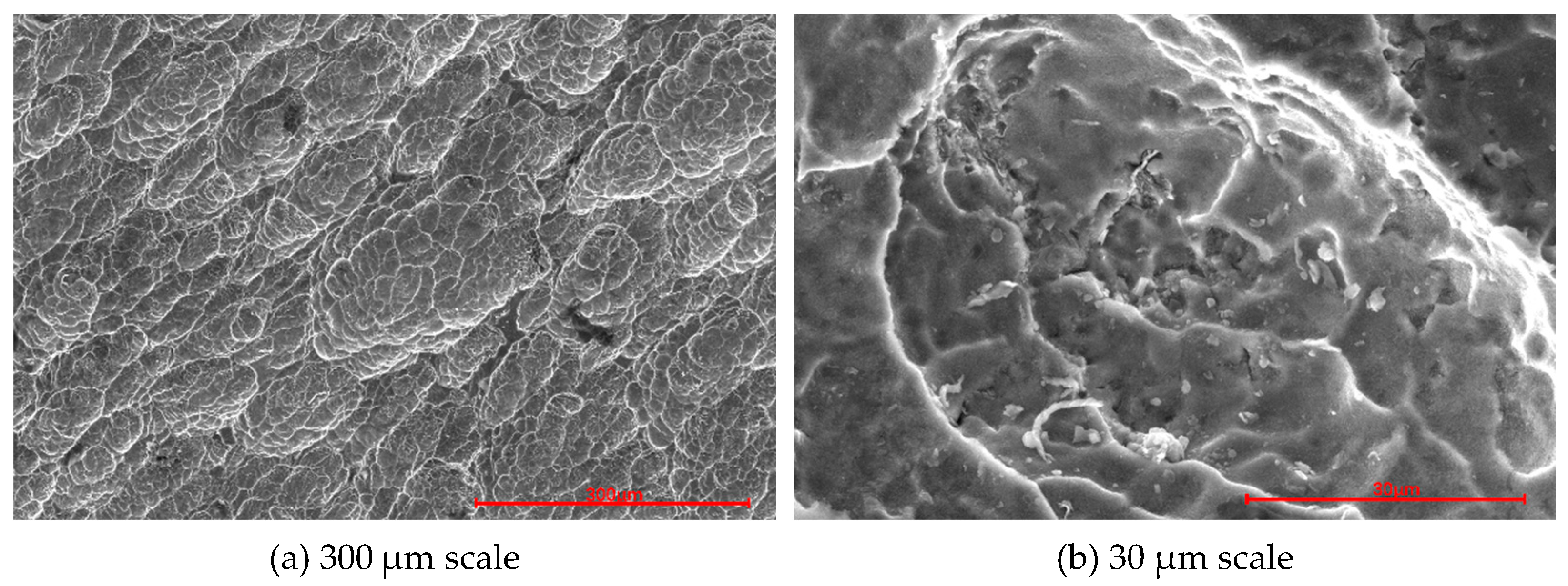 Processes 13 02096 g005