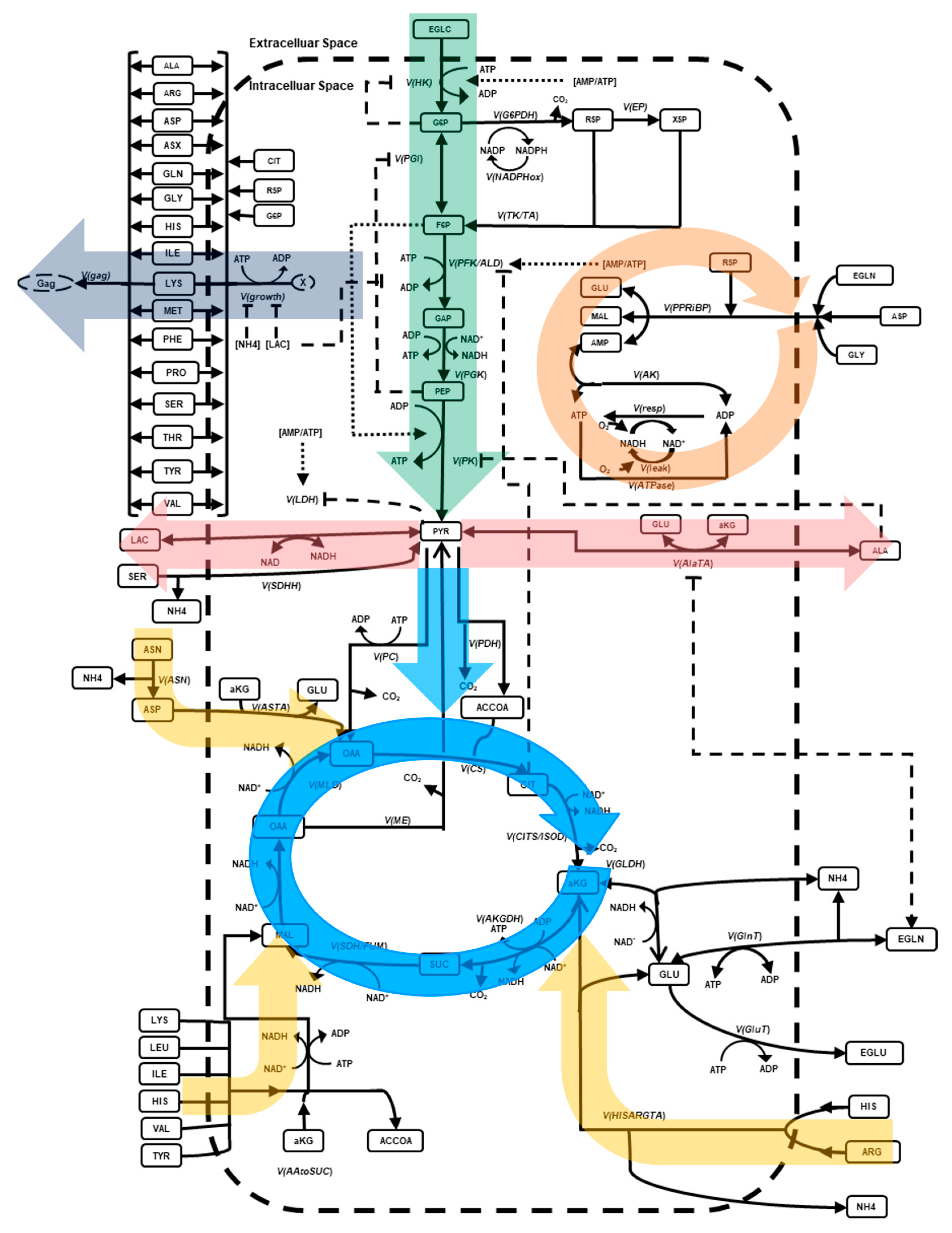 Processes 13 02101 g001