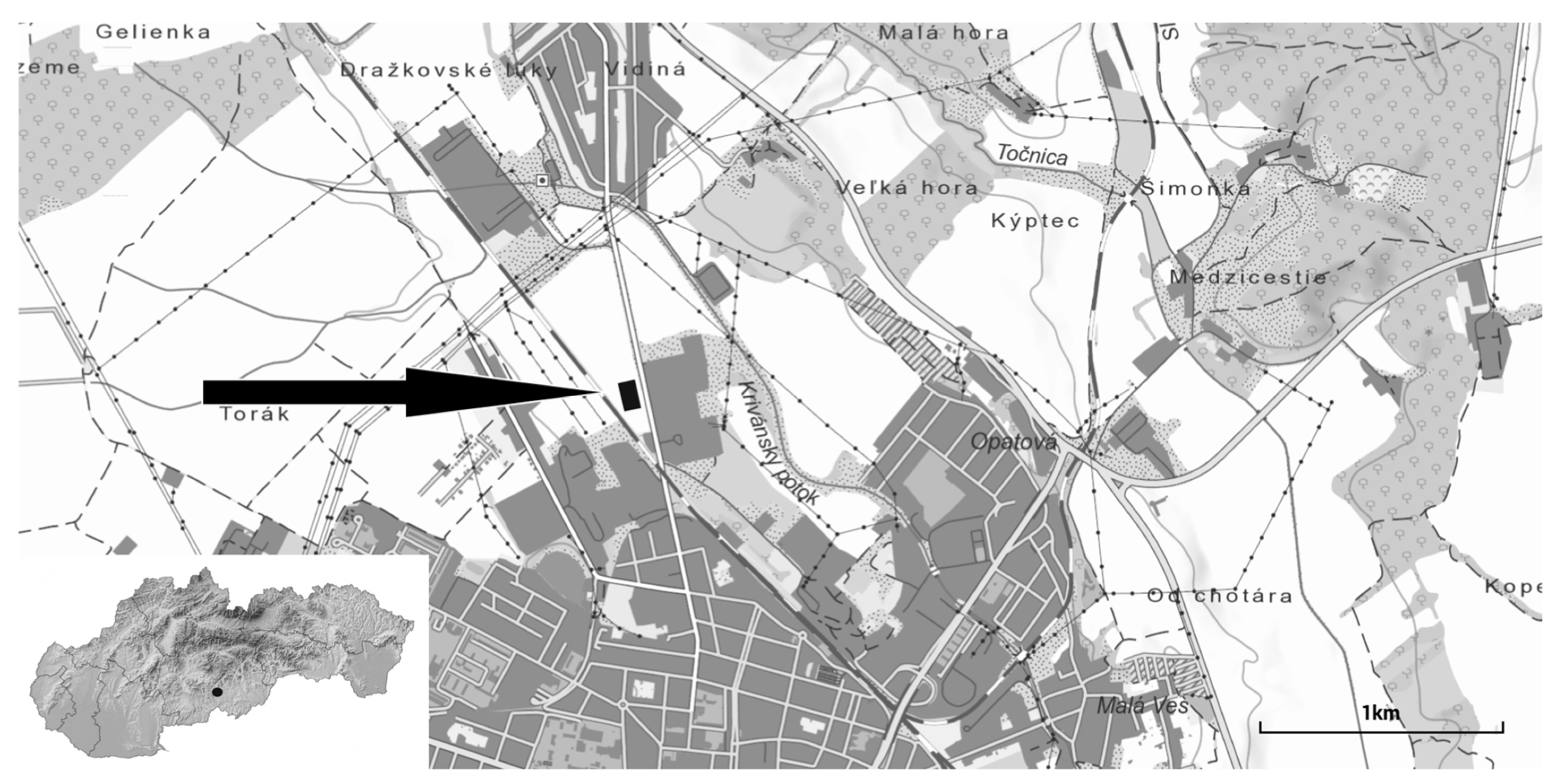 Processes 13 02104 g001