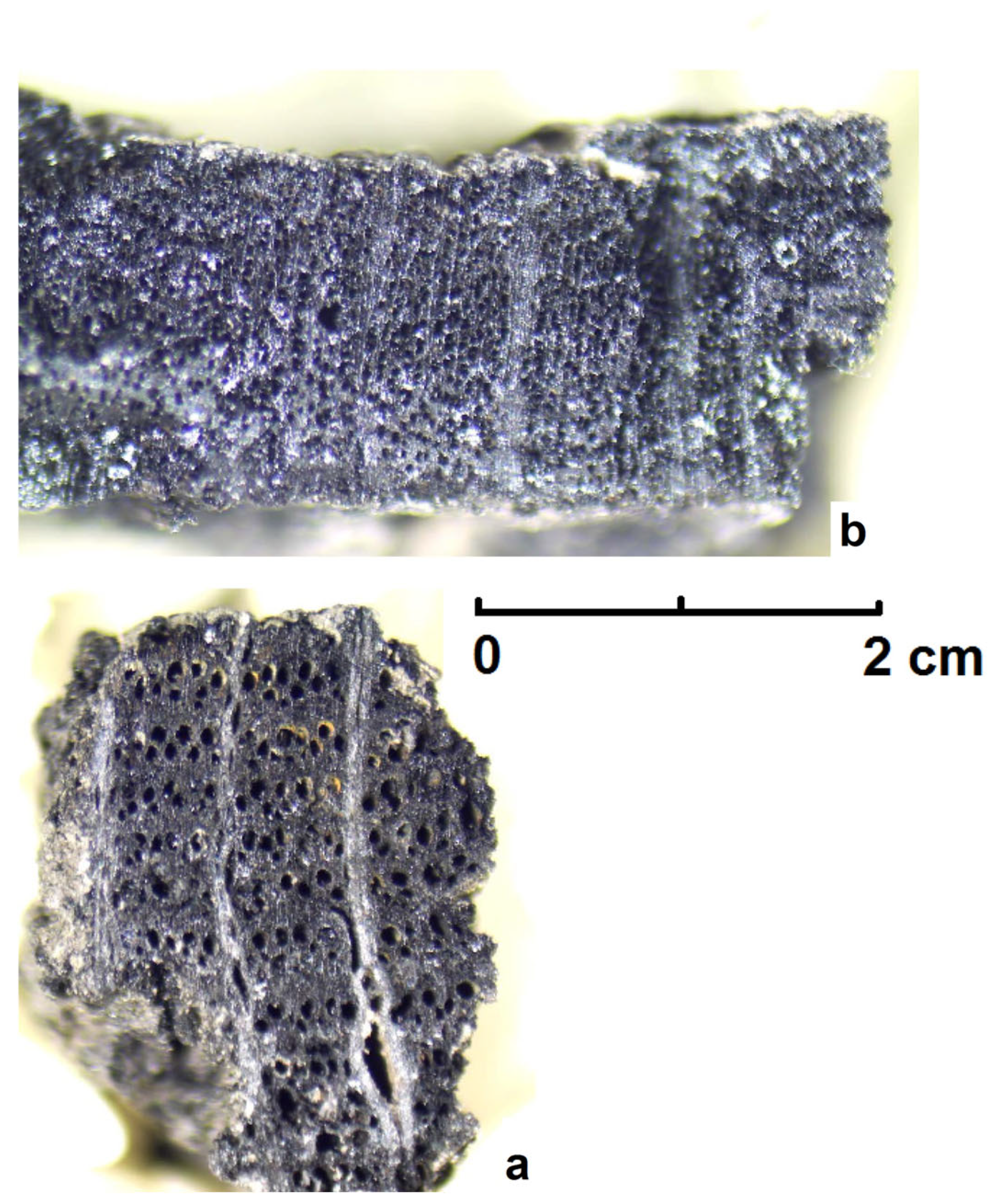 Processes 13 02104 g011