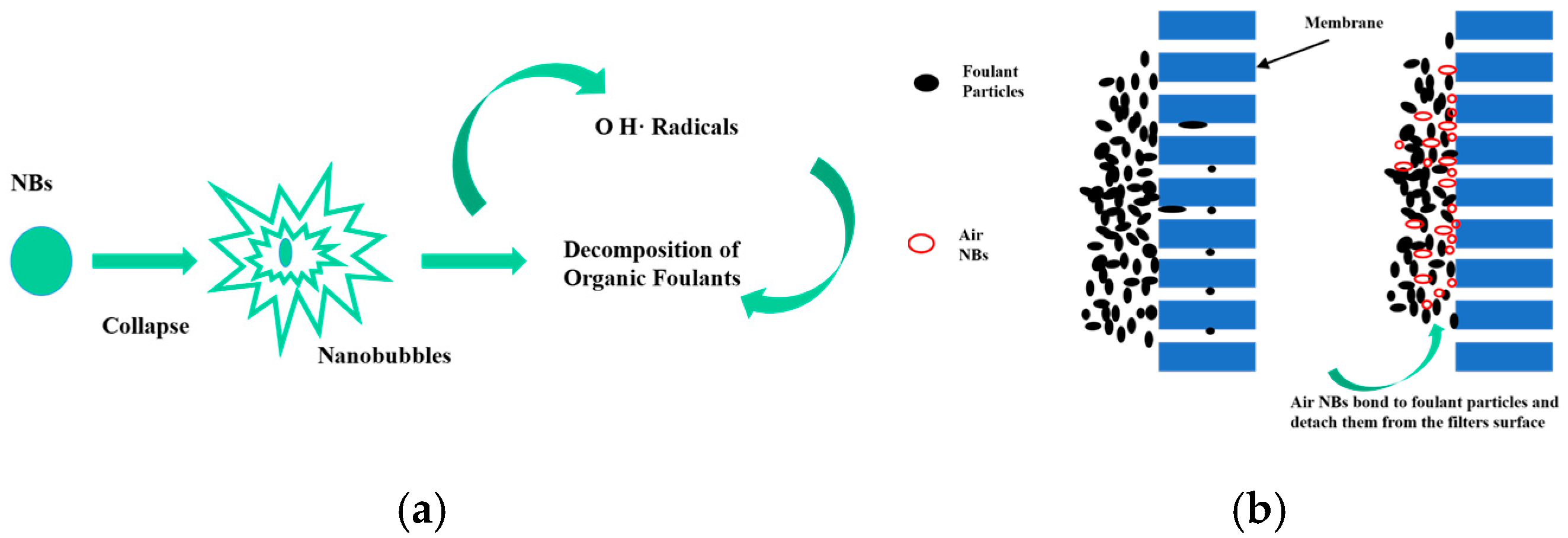 Processes 13 02106 g012