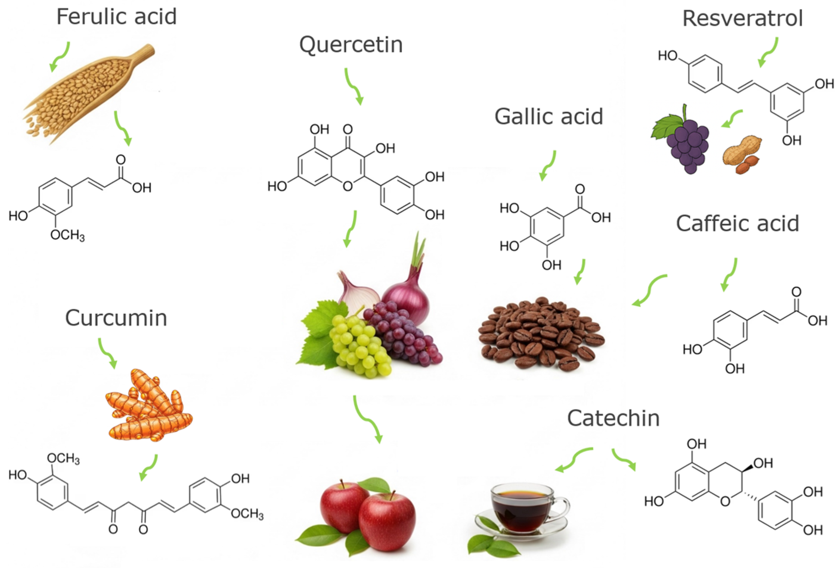 Processes 13 02120 g005
