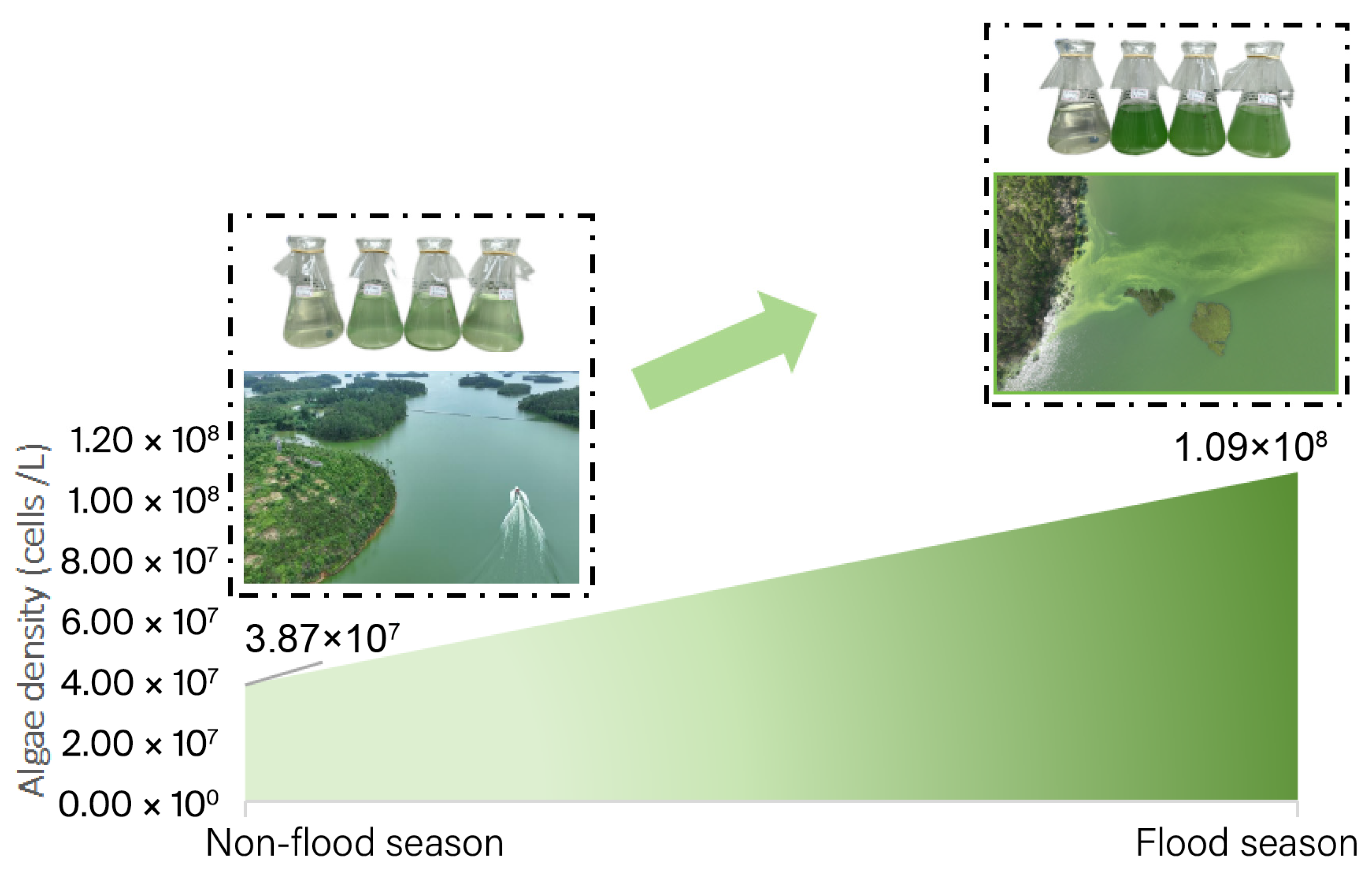 Processes 13 02129 g002