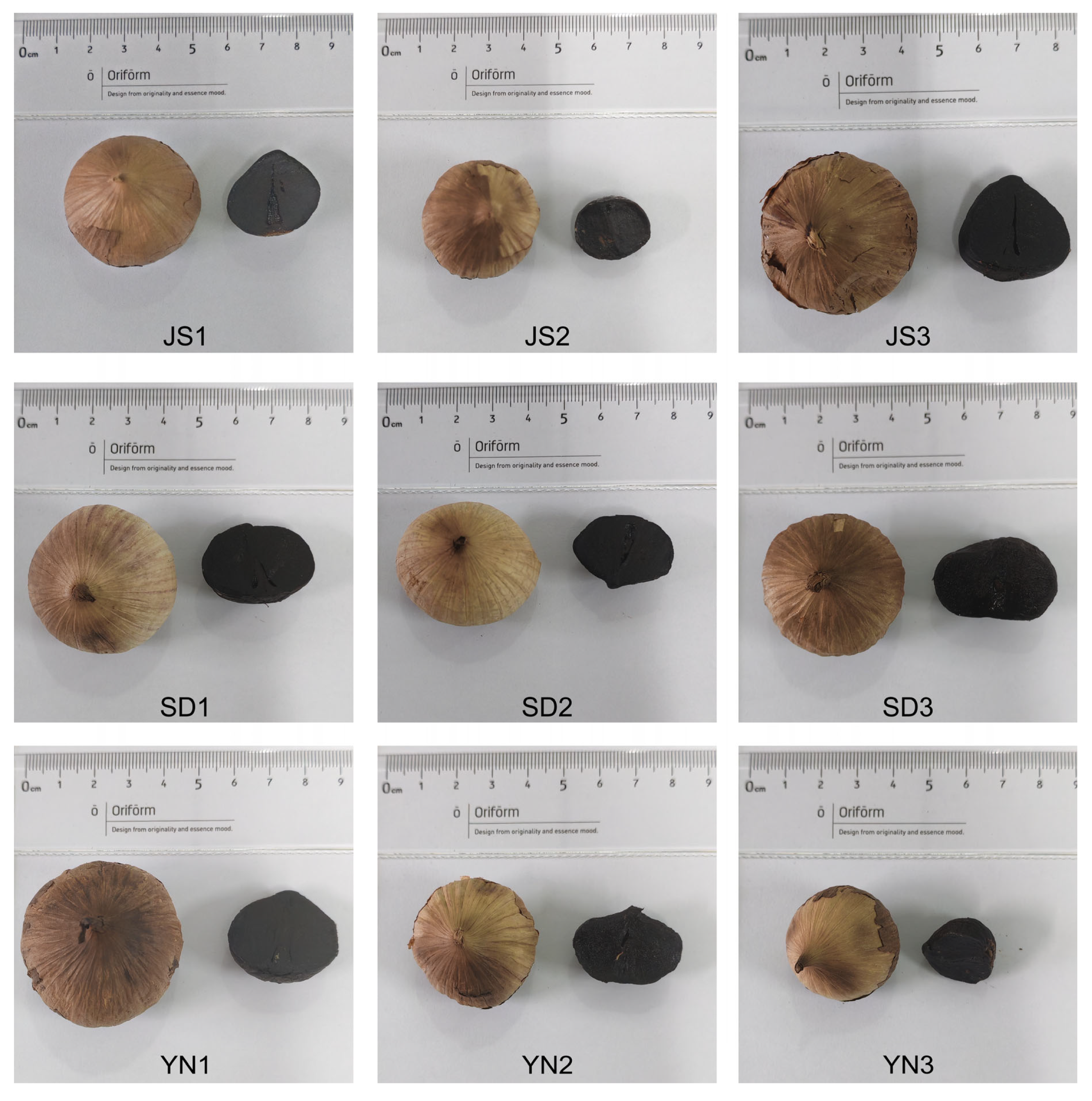 Processes 13 02133 g002