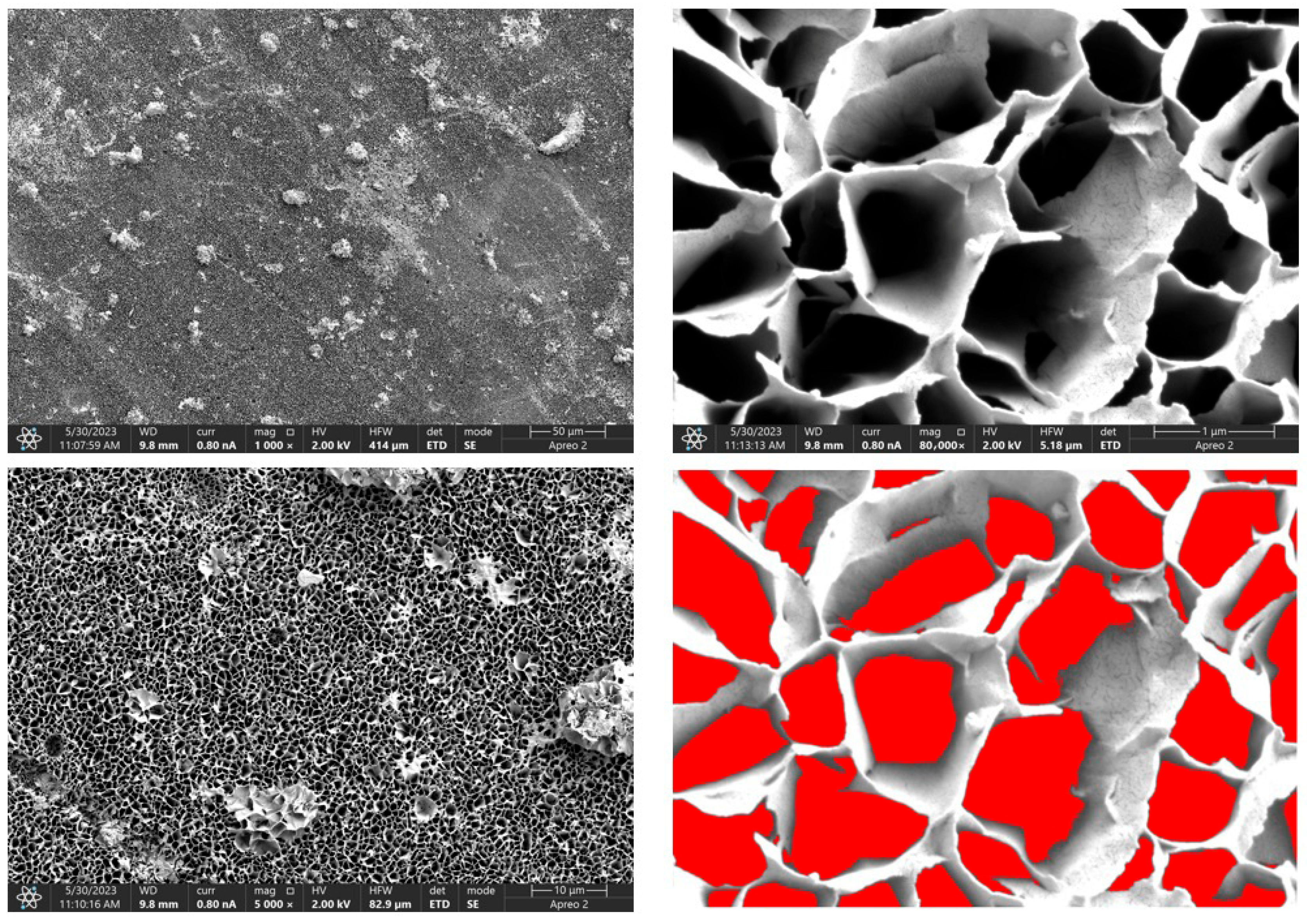 Processes 13 02144 g010