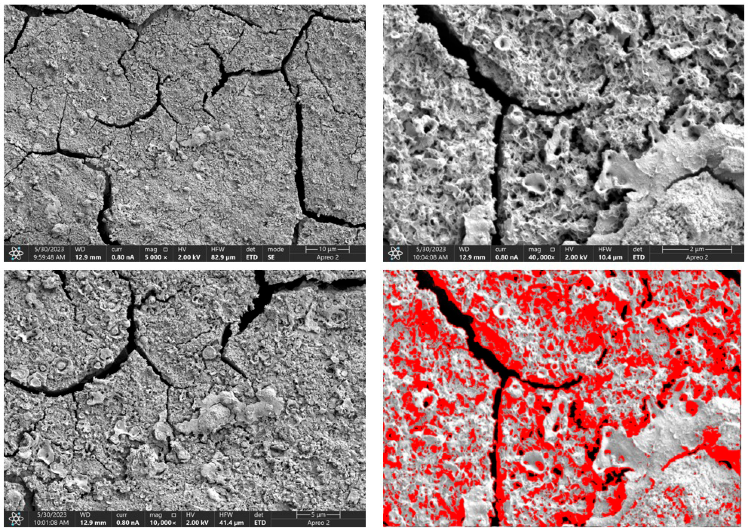 Processes 13 02144 g011