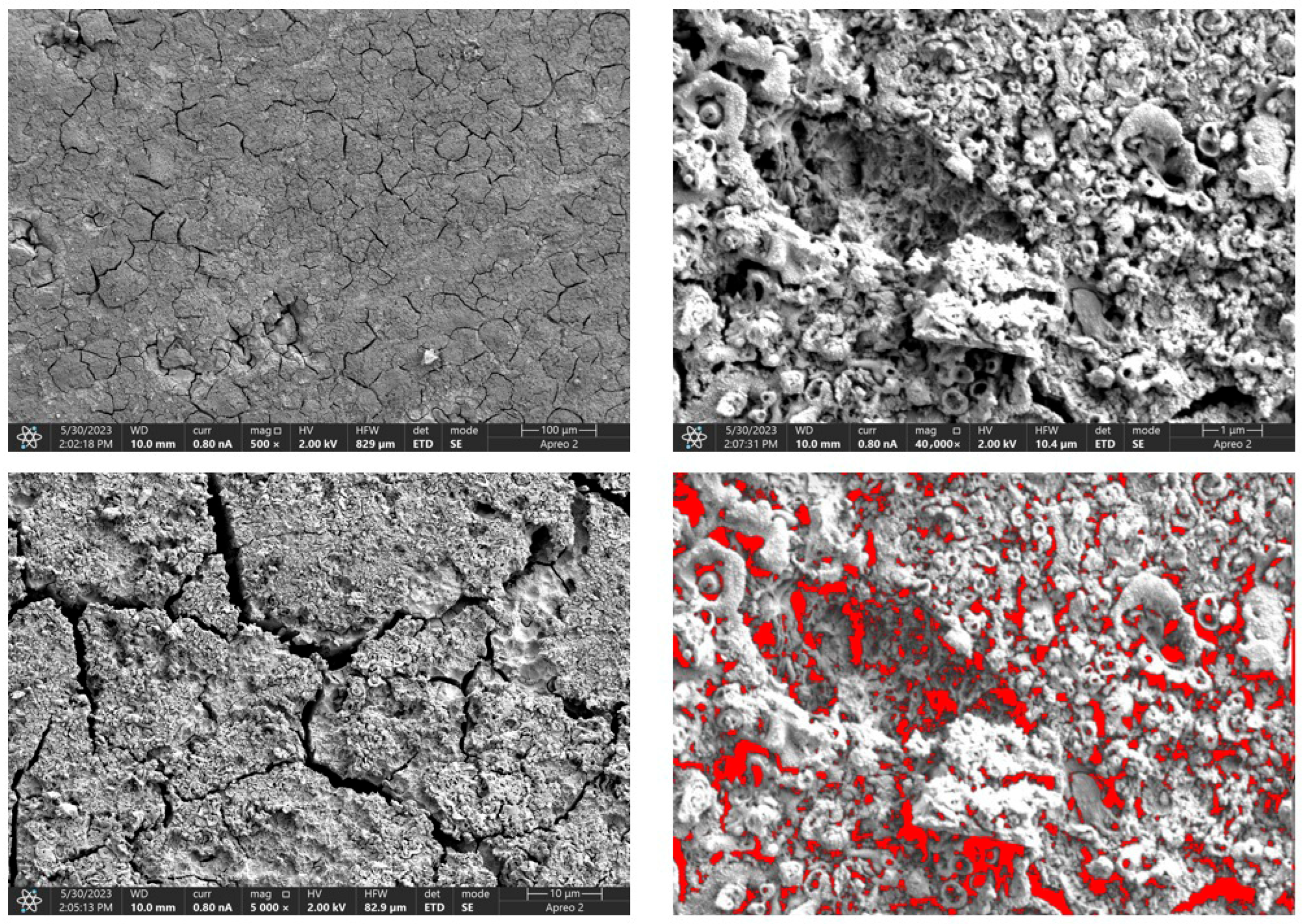 Processes 13 02144 g012