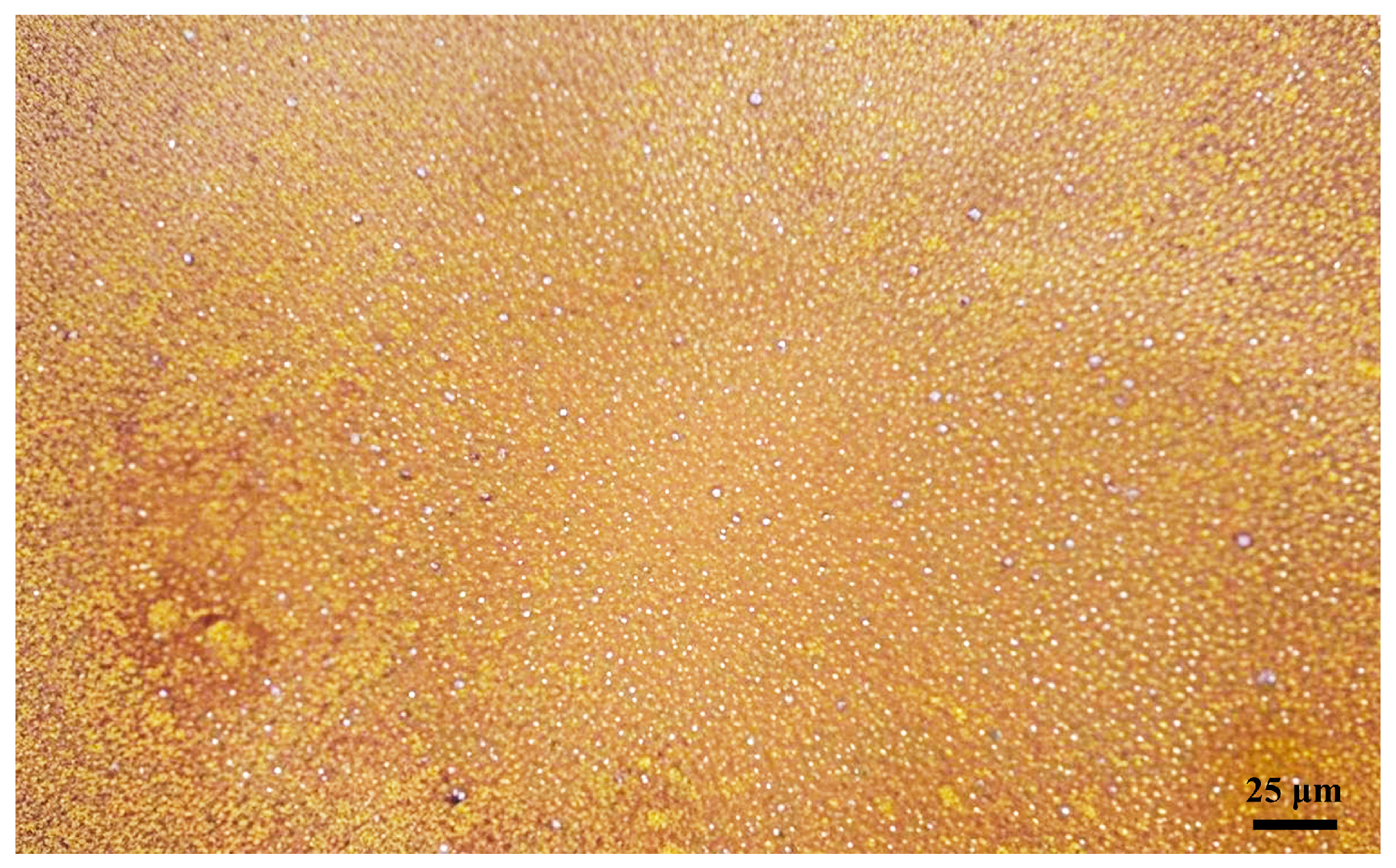 Processes 13 02167 g001