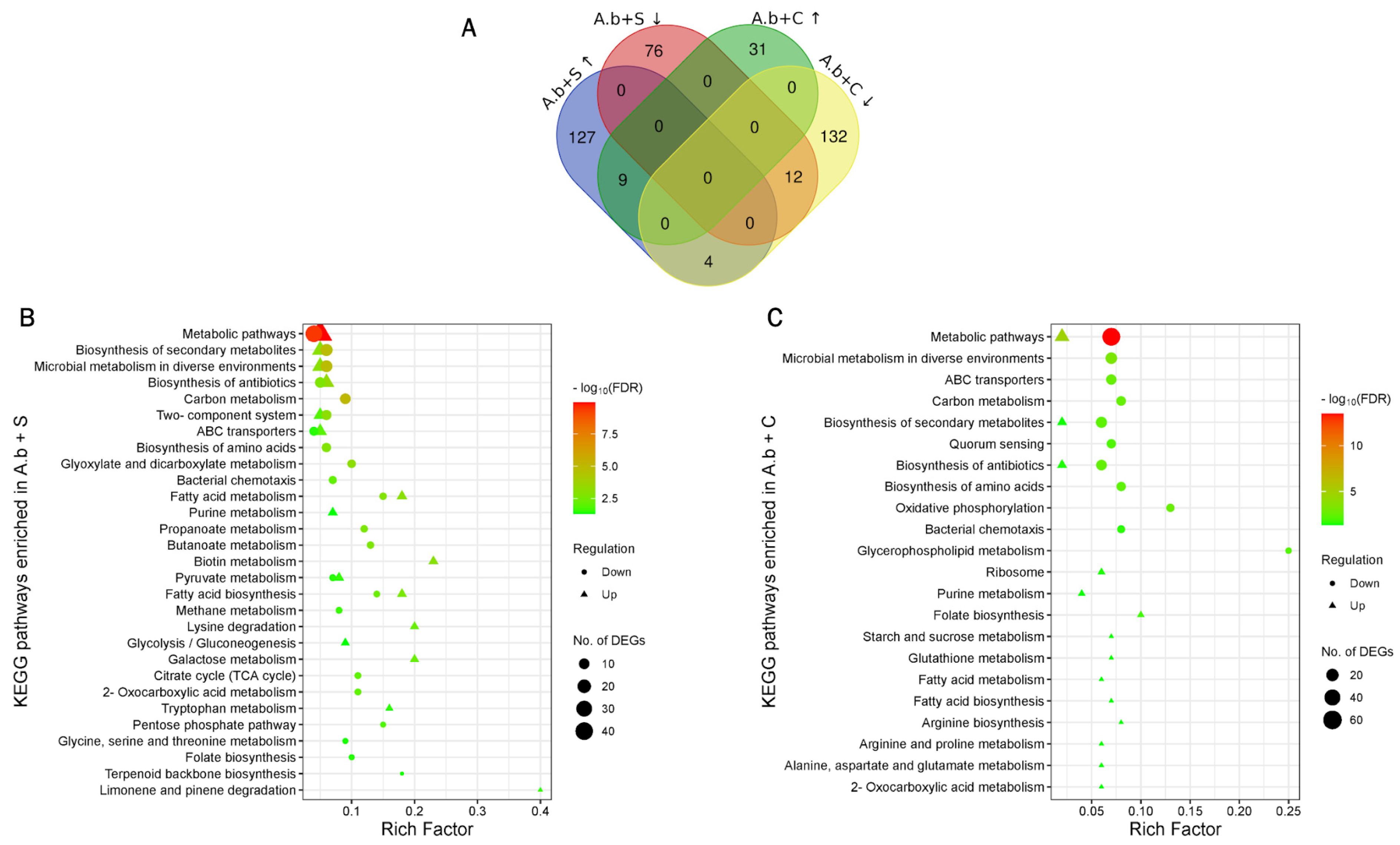 Processes 13 02177 g001