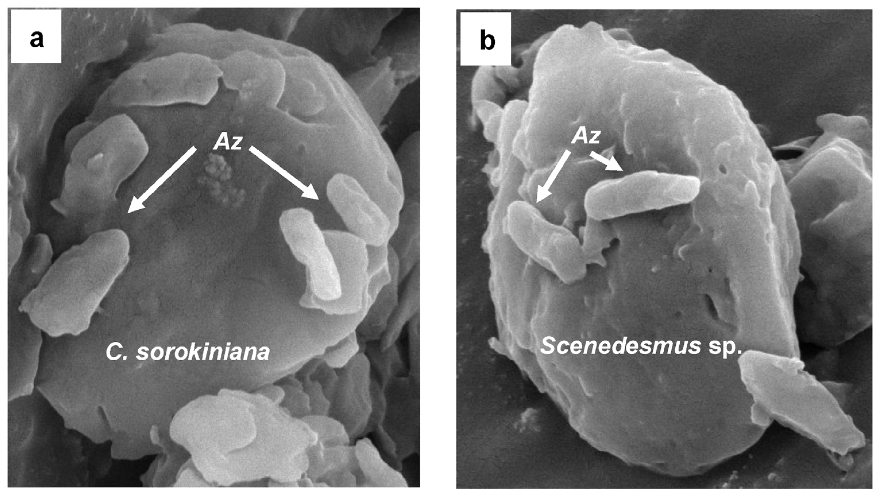 Processes 13 02177 g004