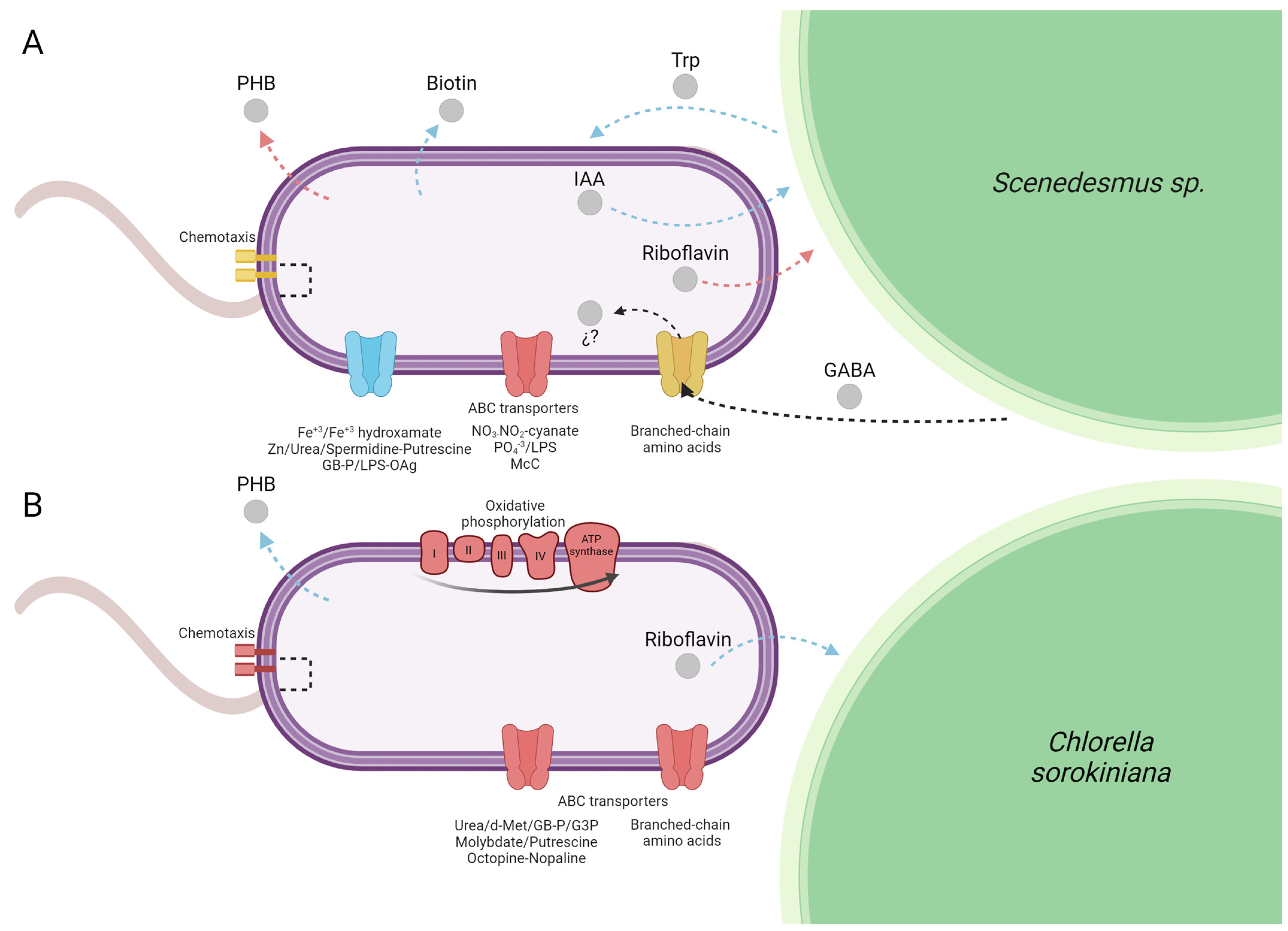 Processes 13 02177 g005