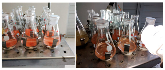 Processes 13 02179 g0a7