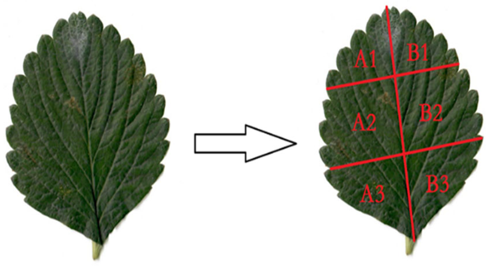 Processes 13 02181 g001