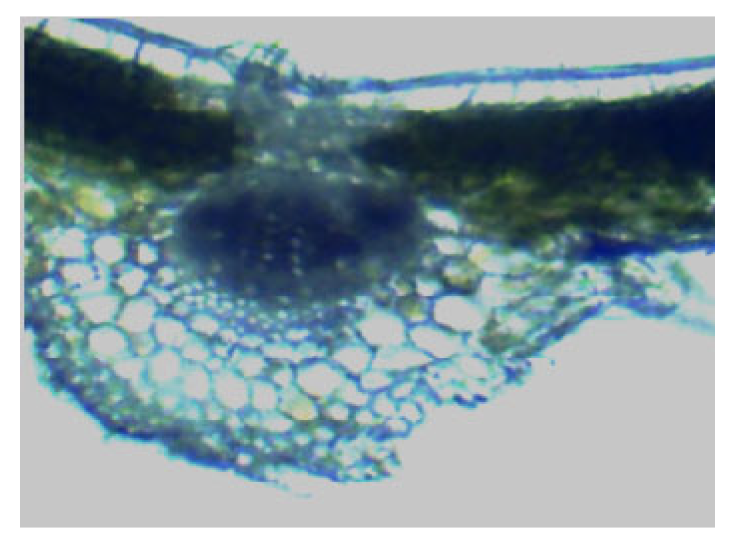 Processes 13 02181 g003